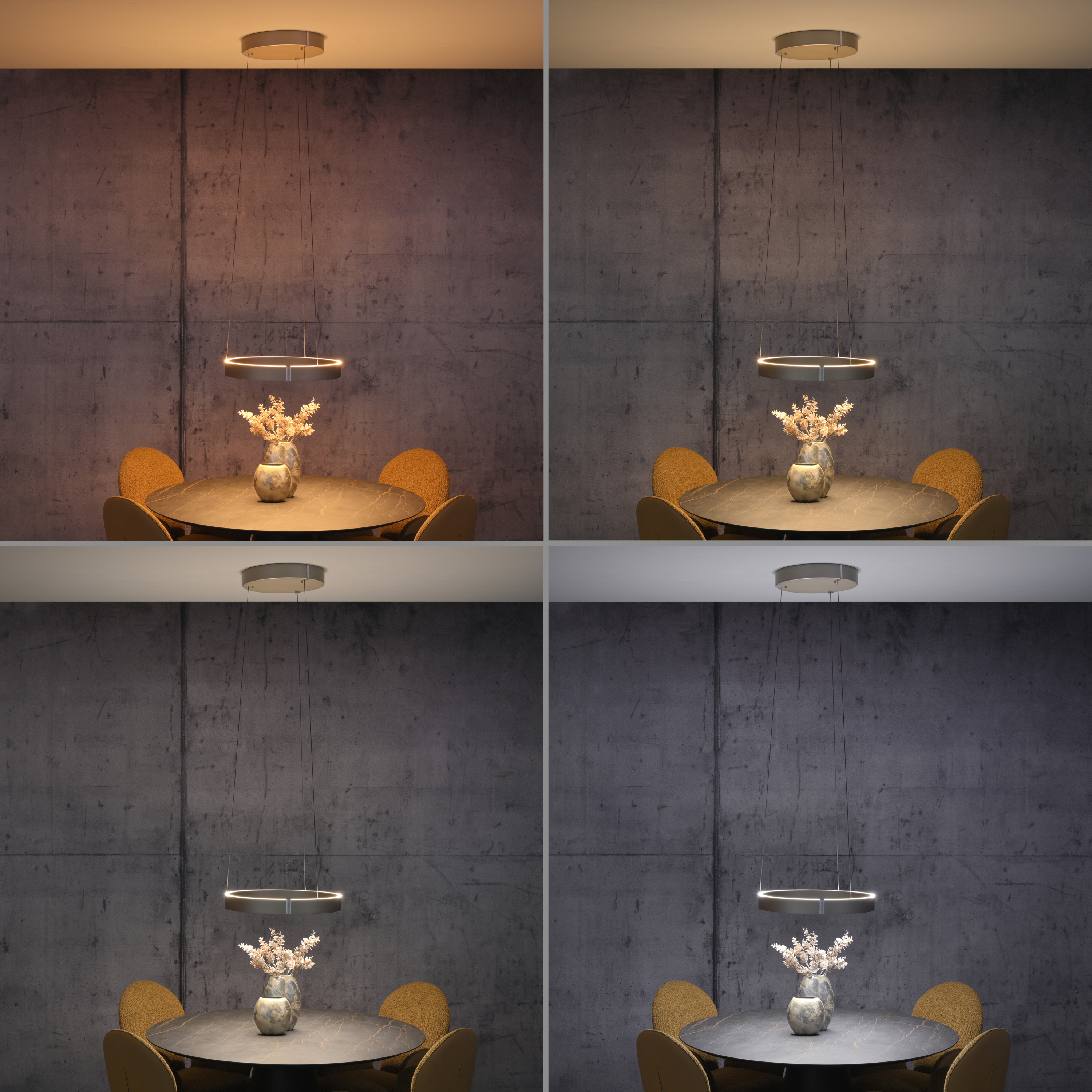 Pendelleuchte PURE E-CLIPSE