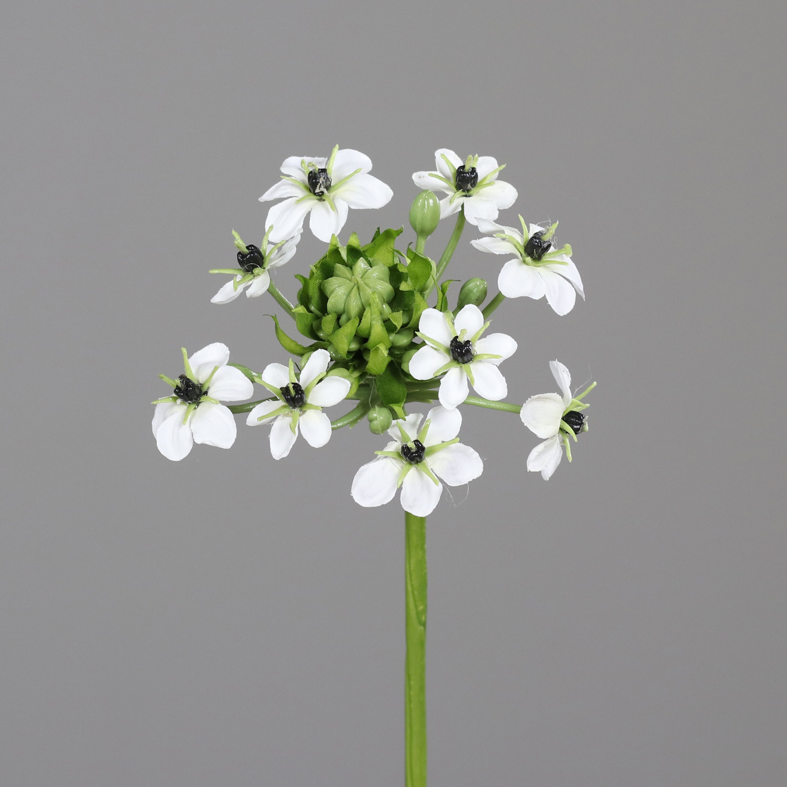 Kunstblume Ornitogalum