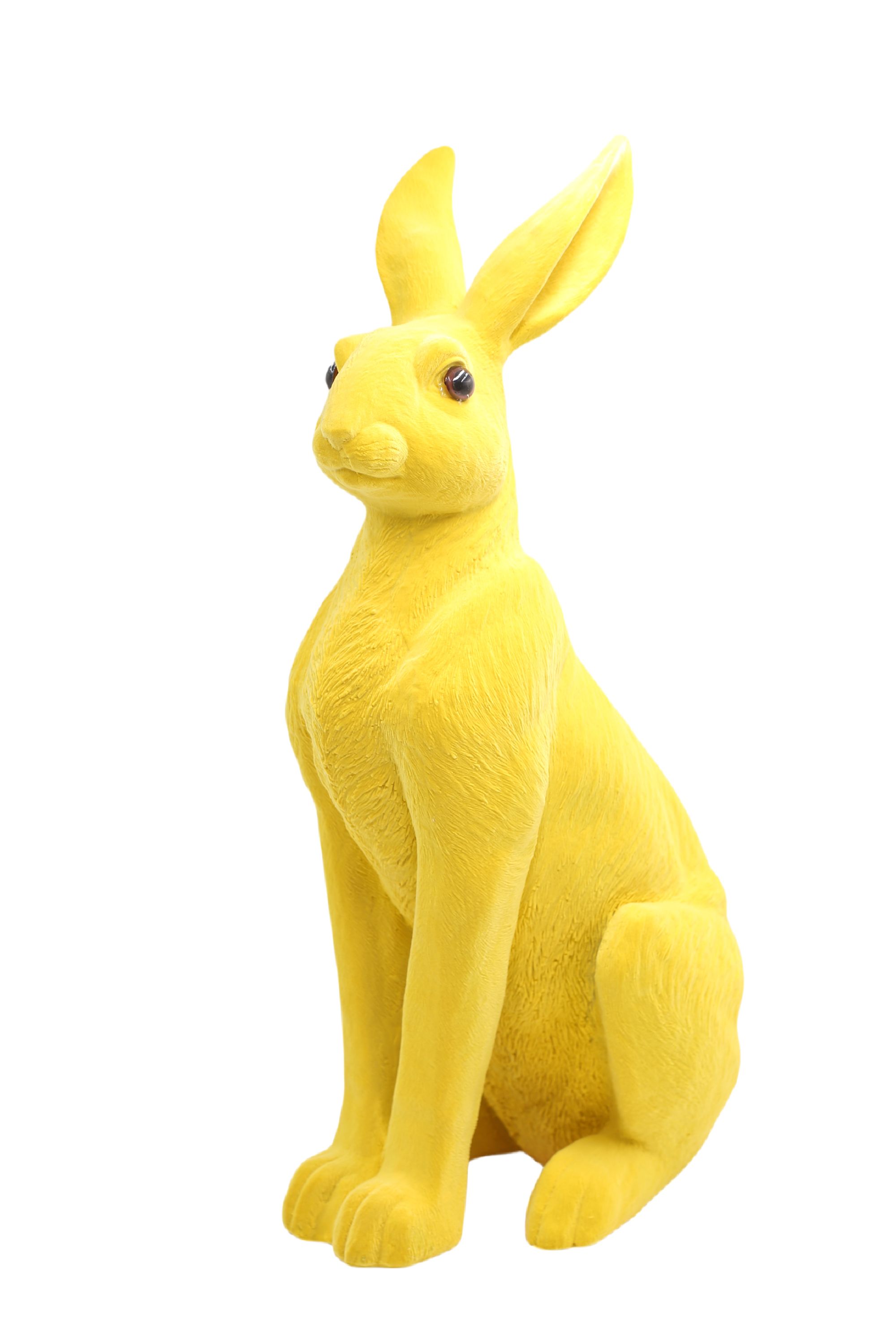 Hase FLOCKY