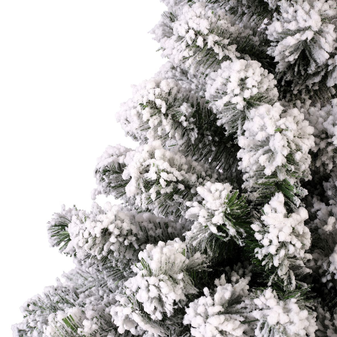 Tannenbaum Imperial