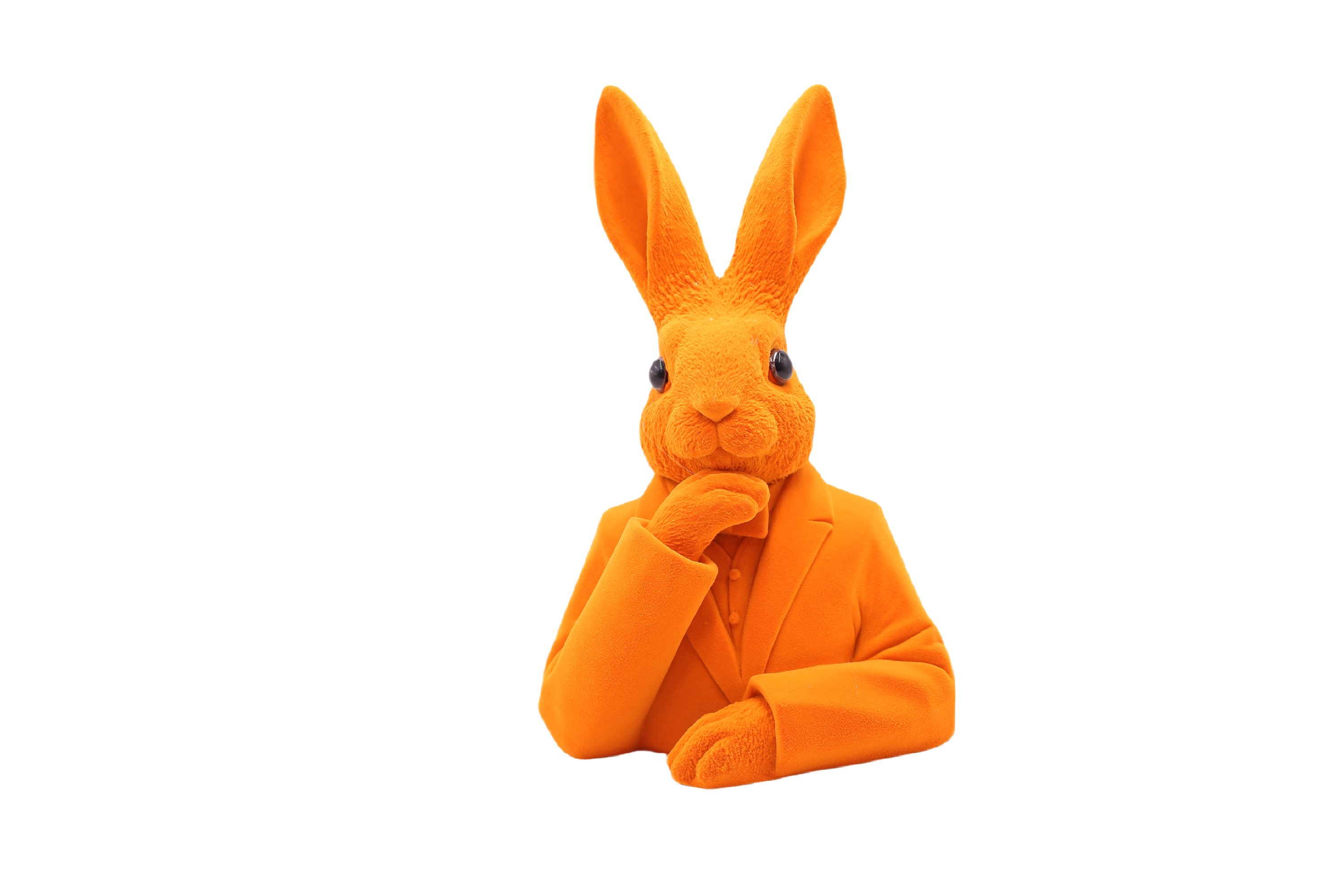 Hase FLOCKY