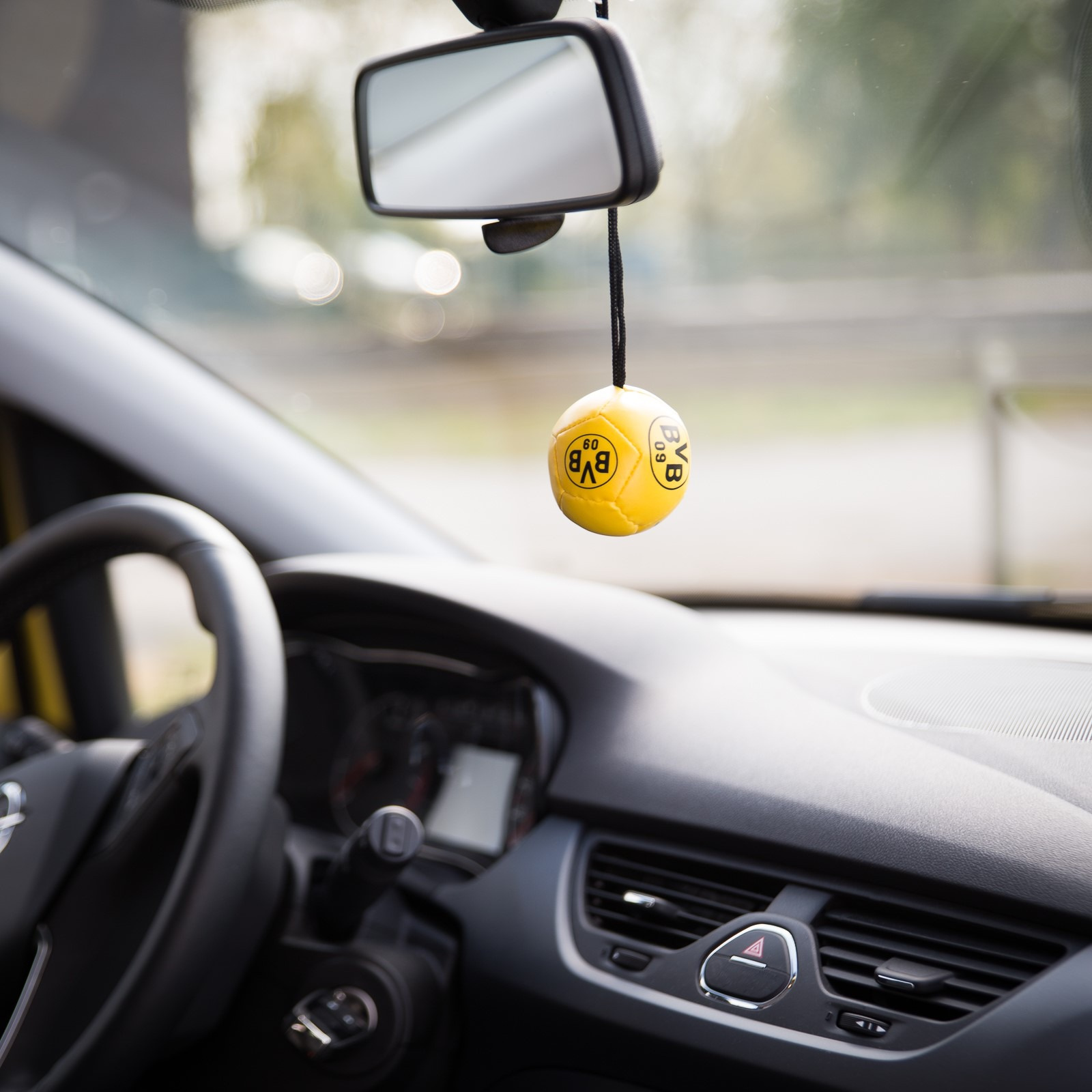 Autospiegelball BVB