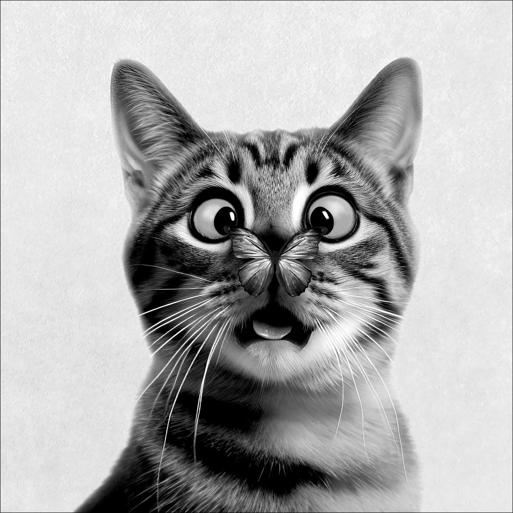 Keilrahmenbild FUNNY CAT I