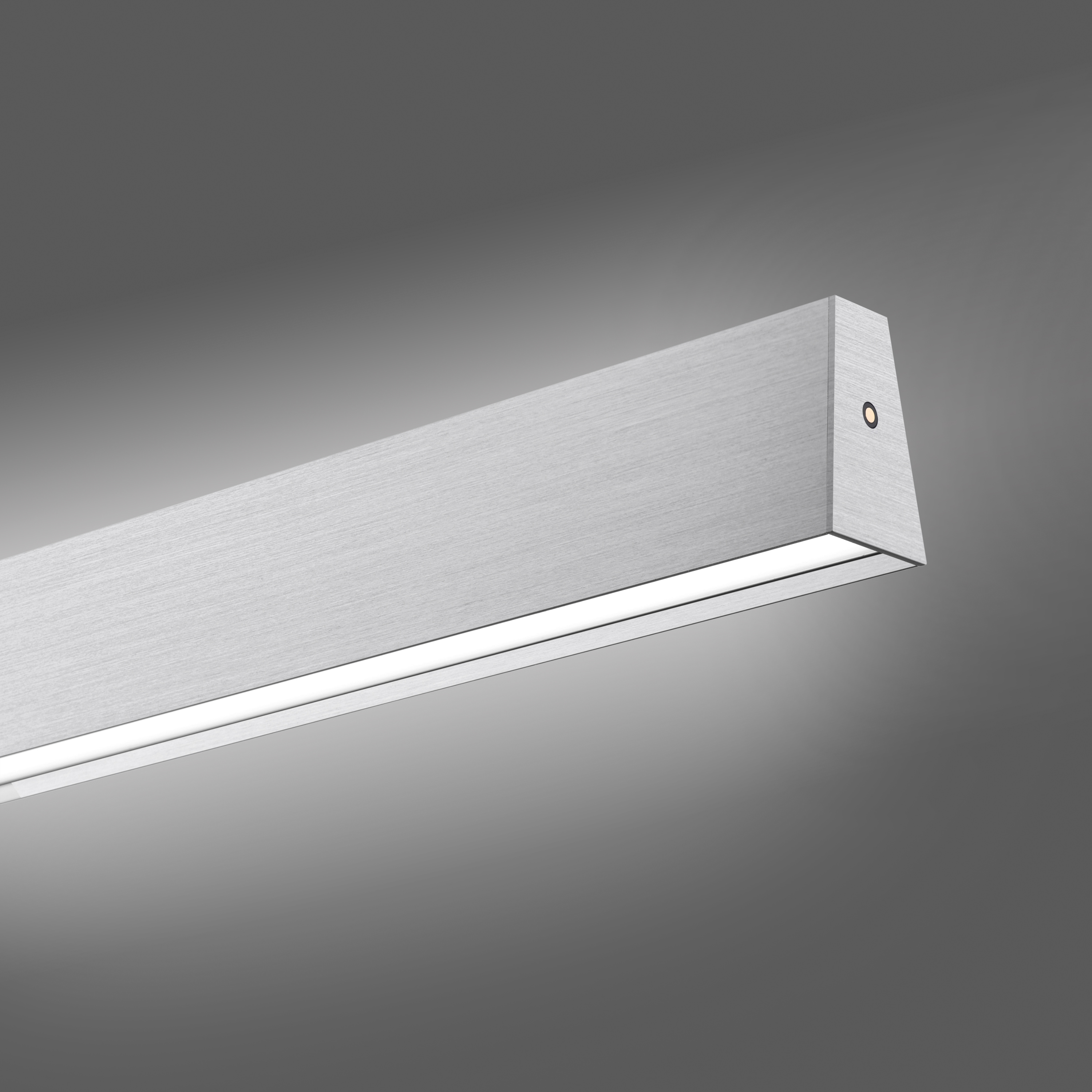 Pendelleuchte PURE E-MOTION