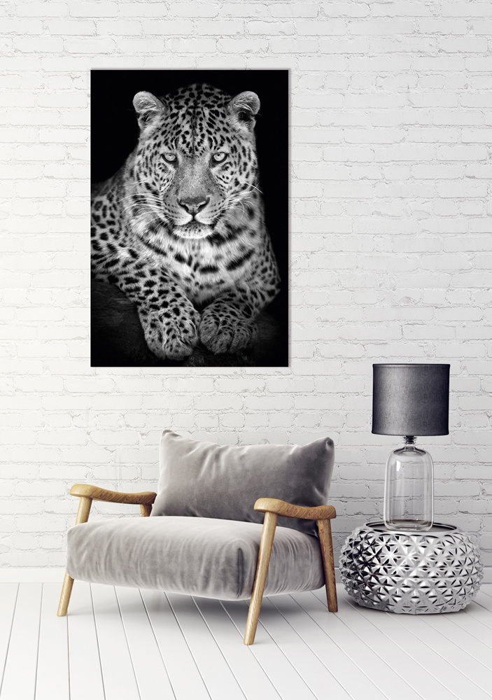 Akustikbild LEO