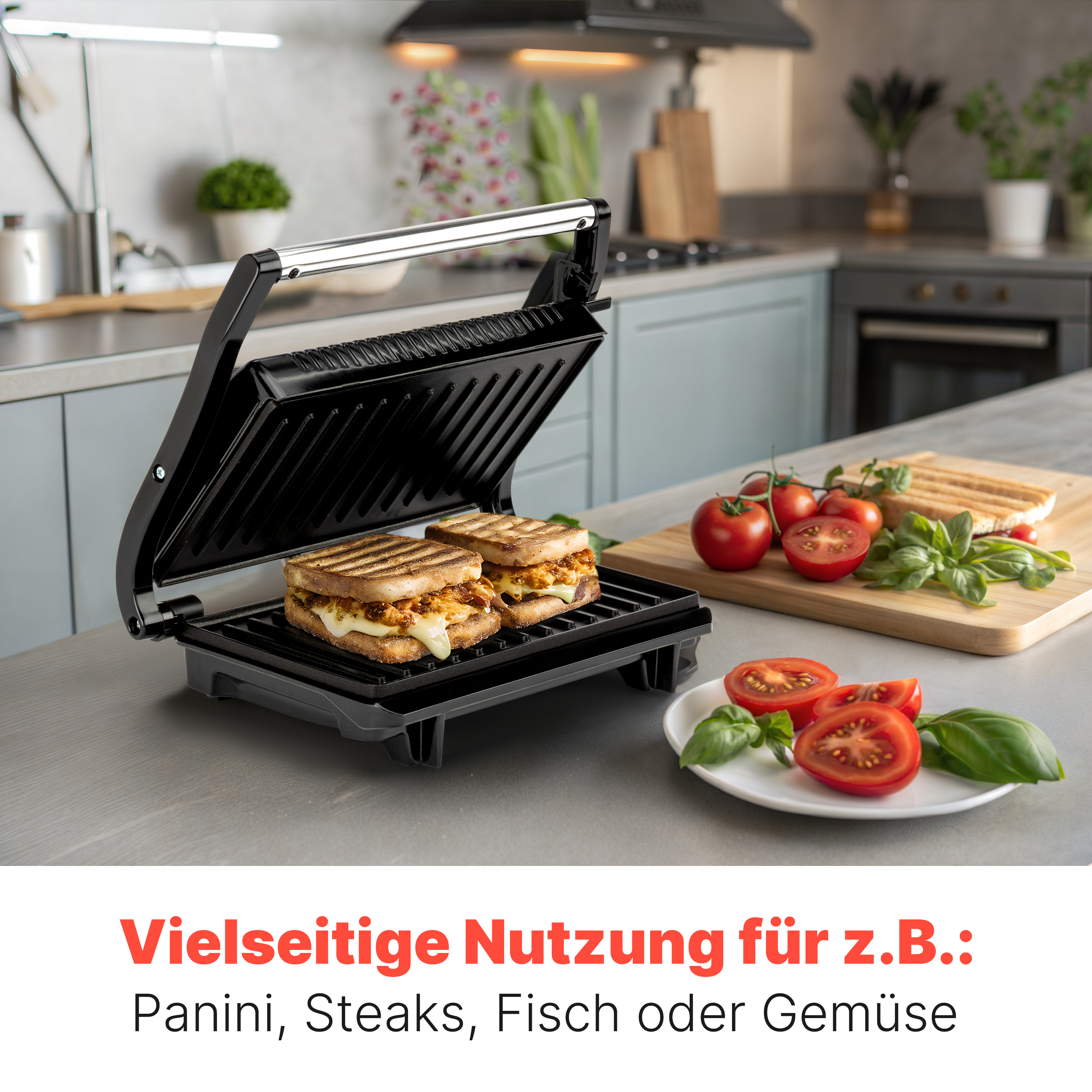 Multigrill INOX
