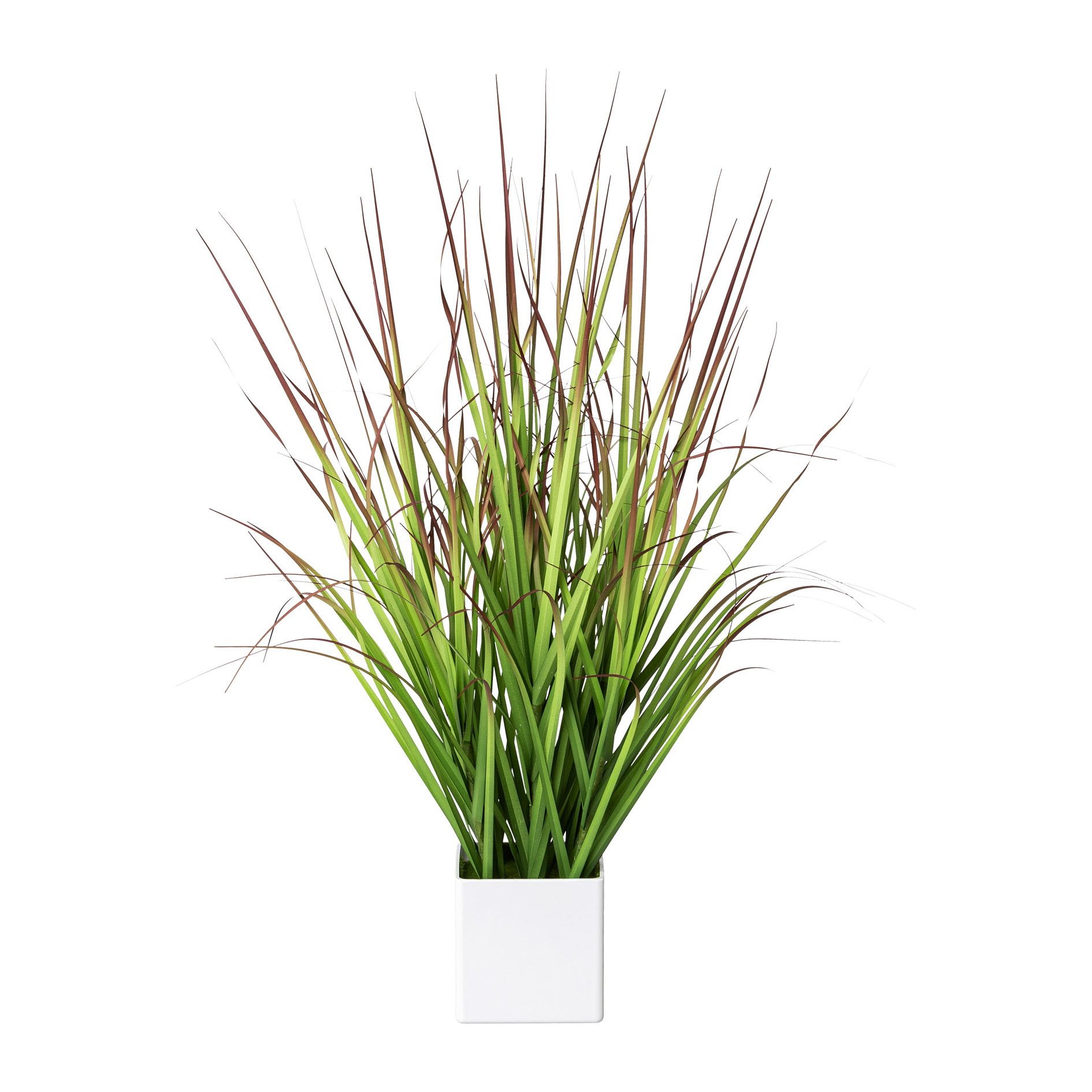Kunstpflanze BLUTGRAS