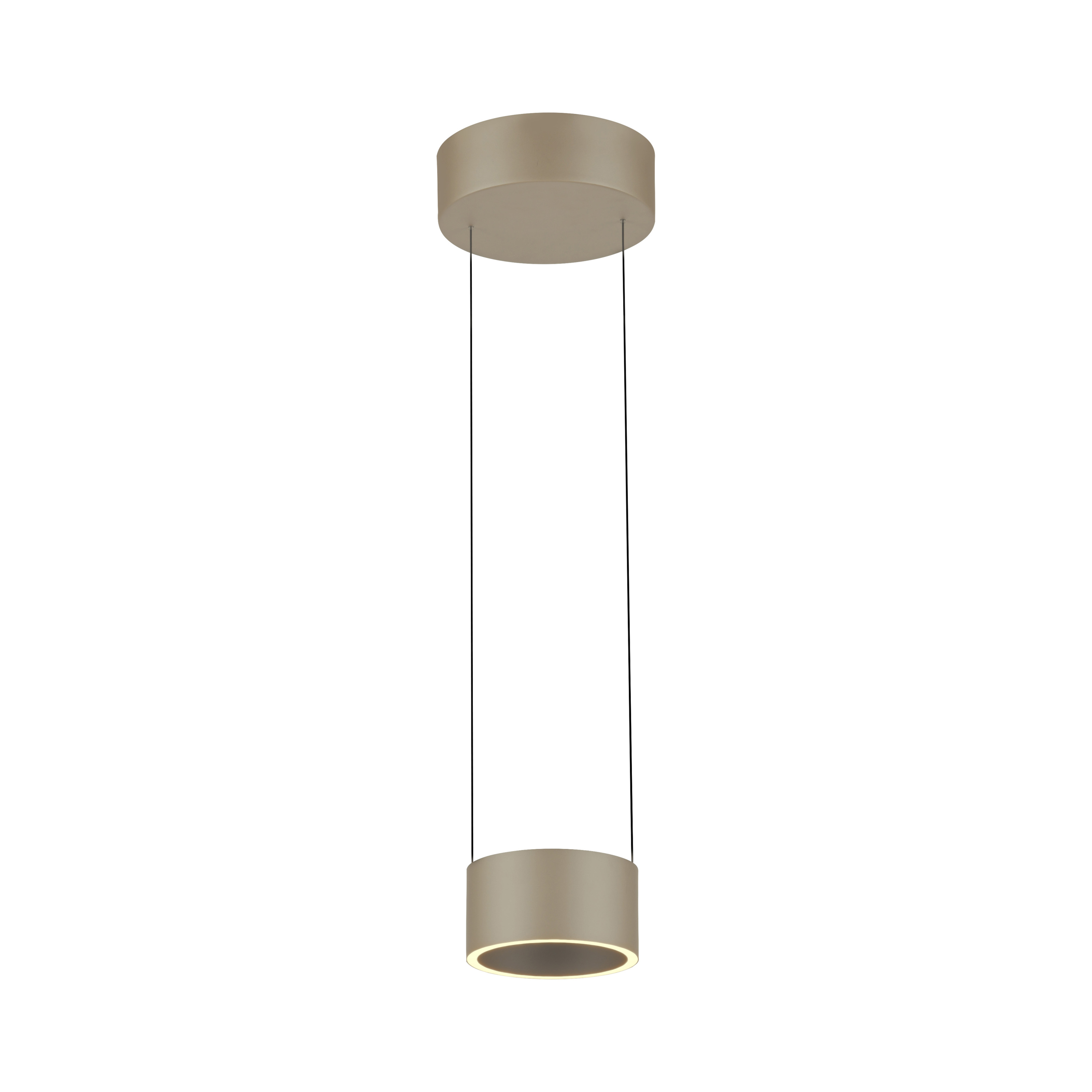 Pendelleuchte PURE CLIPSE