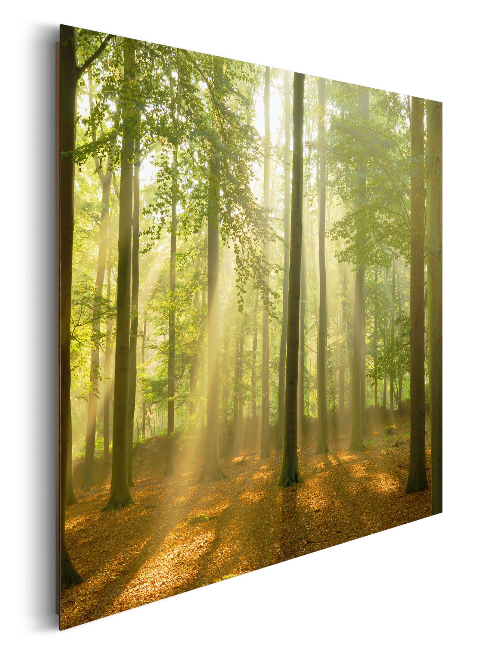 Bild SUNBEAM FOREST
