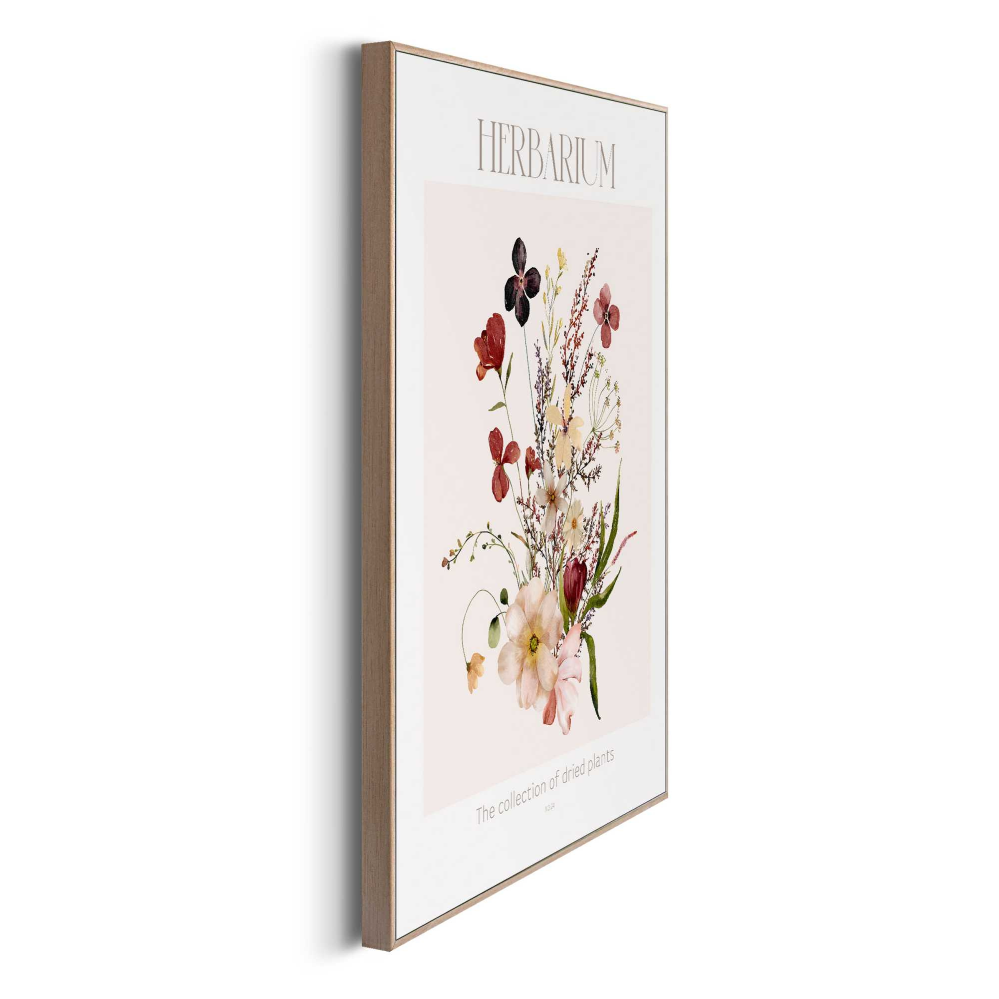 Bild HERBARIUM