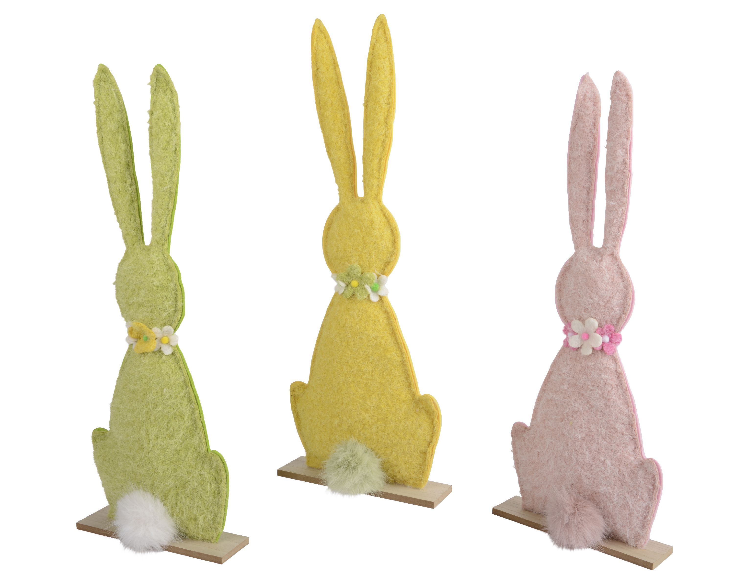 Hase