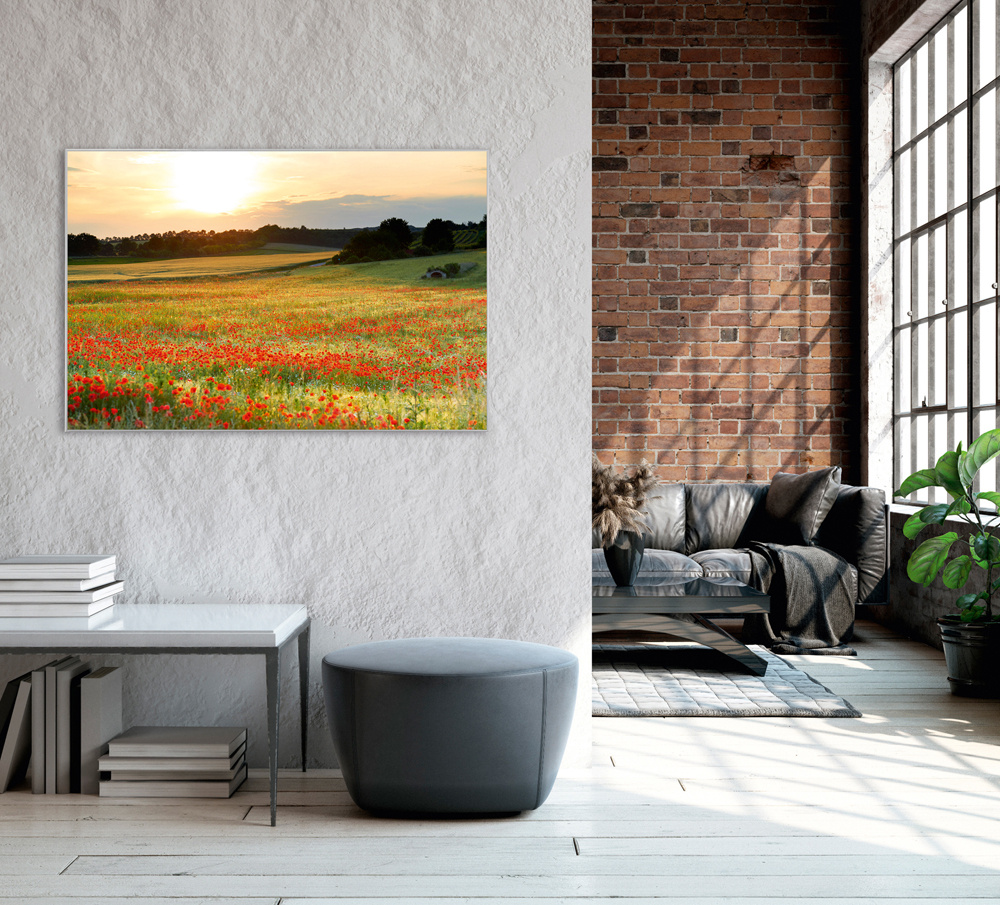 Akustikbild WIESE MIT MOHN
