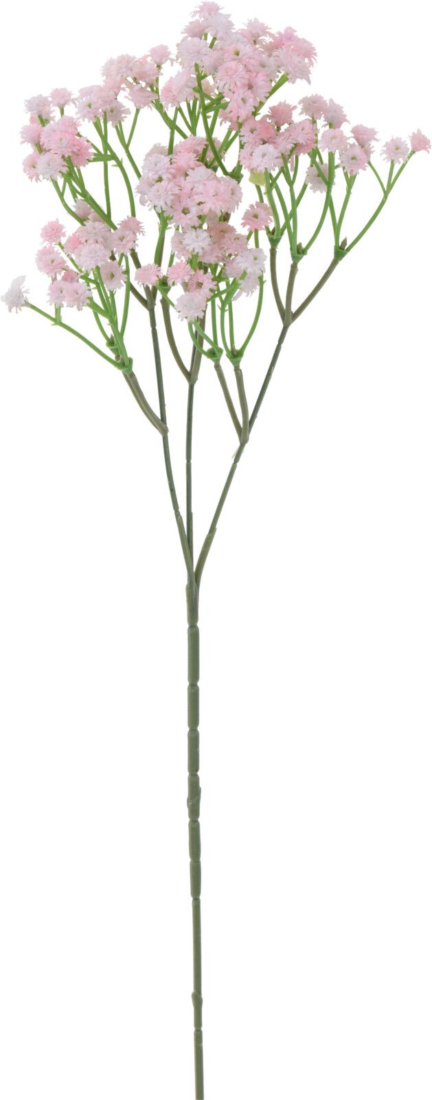 Kunstblume Zweig