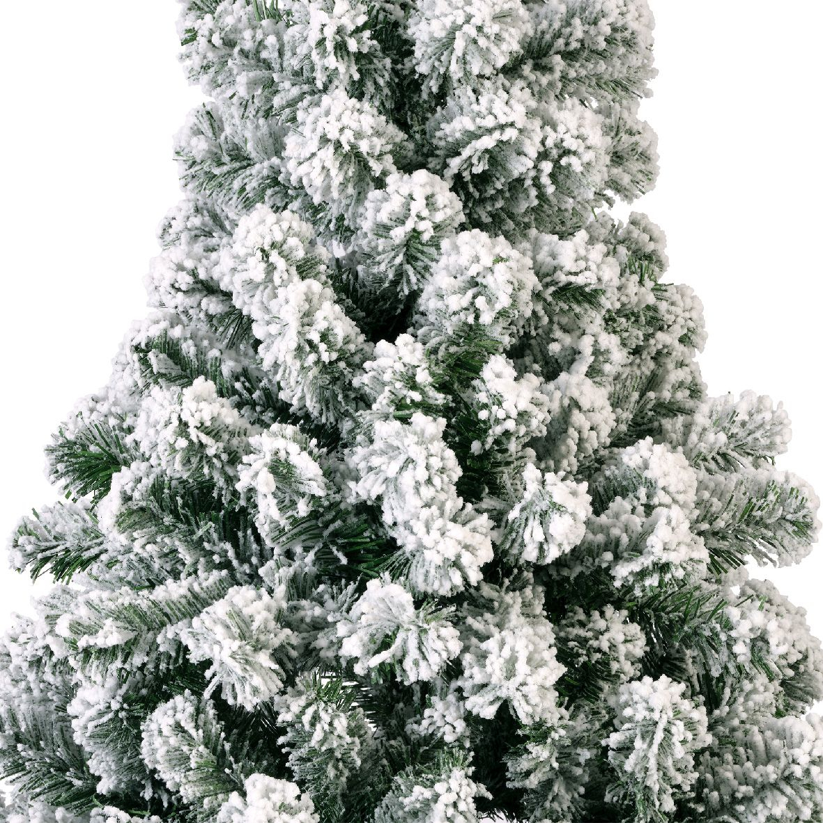 Tannenbaum Imperial