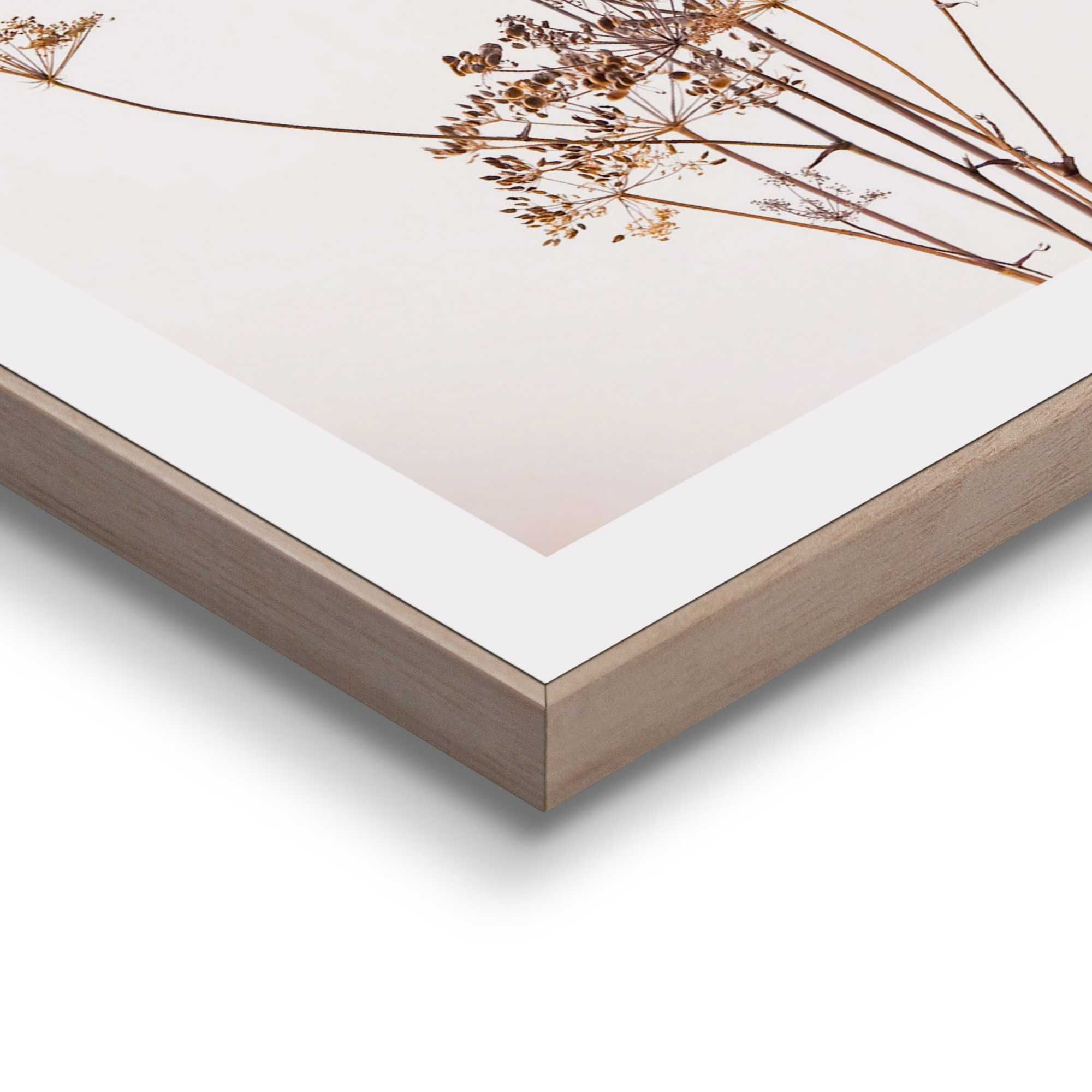 Bilder-Set BOTANIC NATURAL