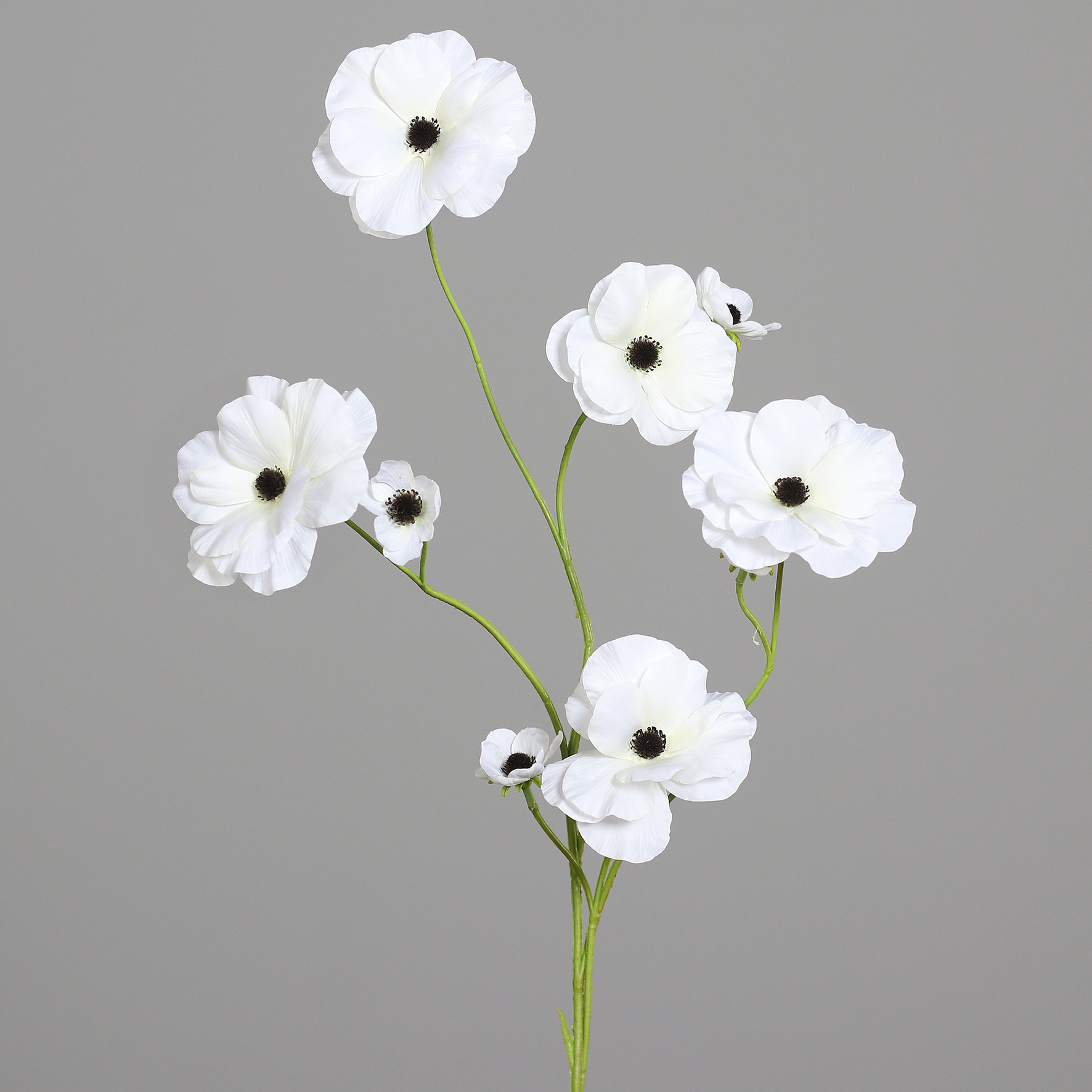 Kunstblume ANEMONE