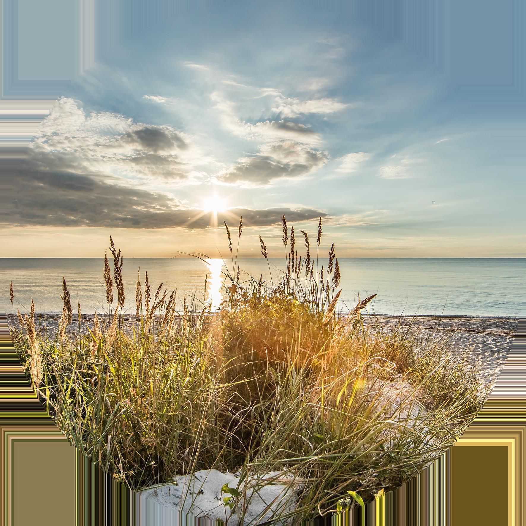 Glasbild WILDER STRAND