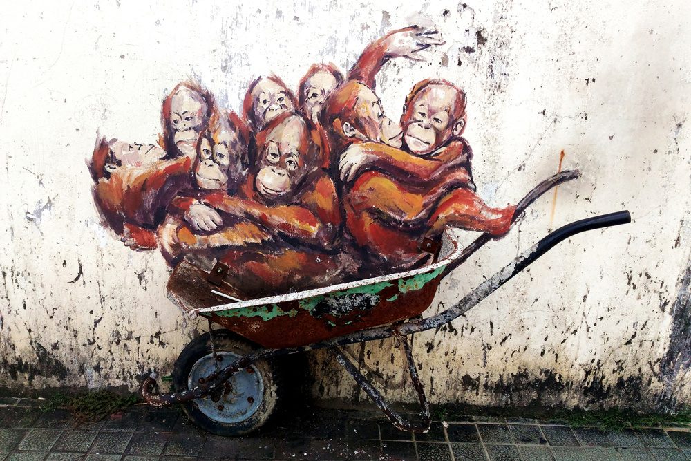 Akustikbild ORANG-UTANS