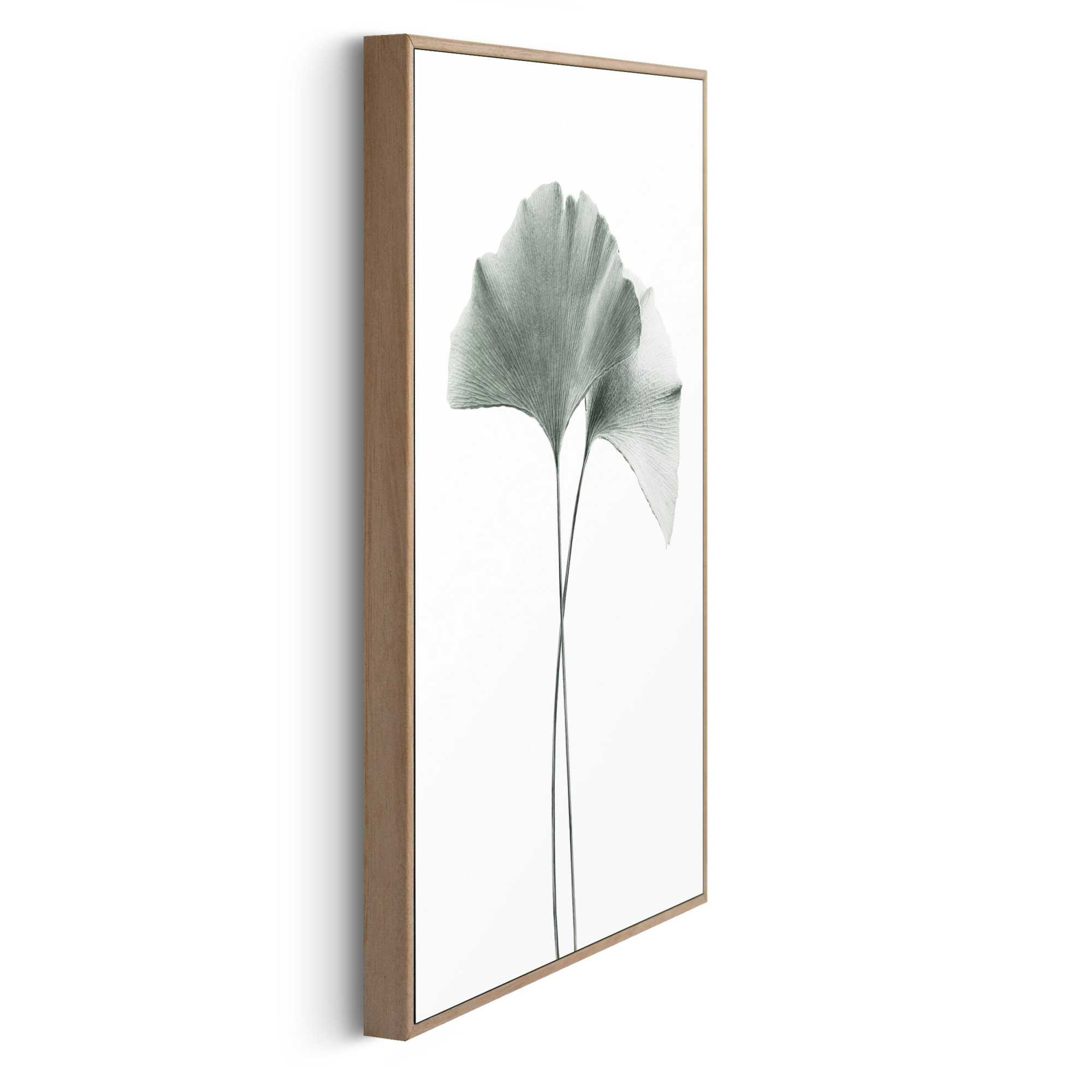 Bild GINKGO