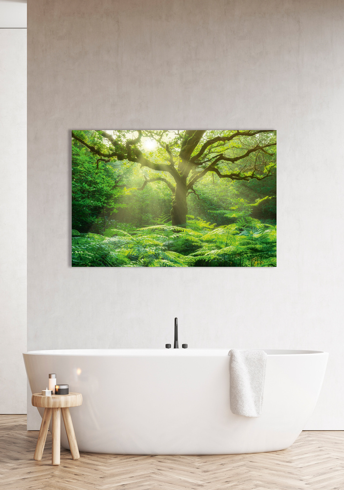 Akustikbild BAUM IM WALD