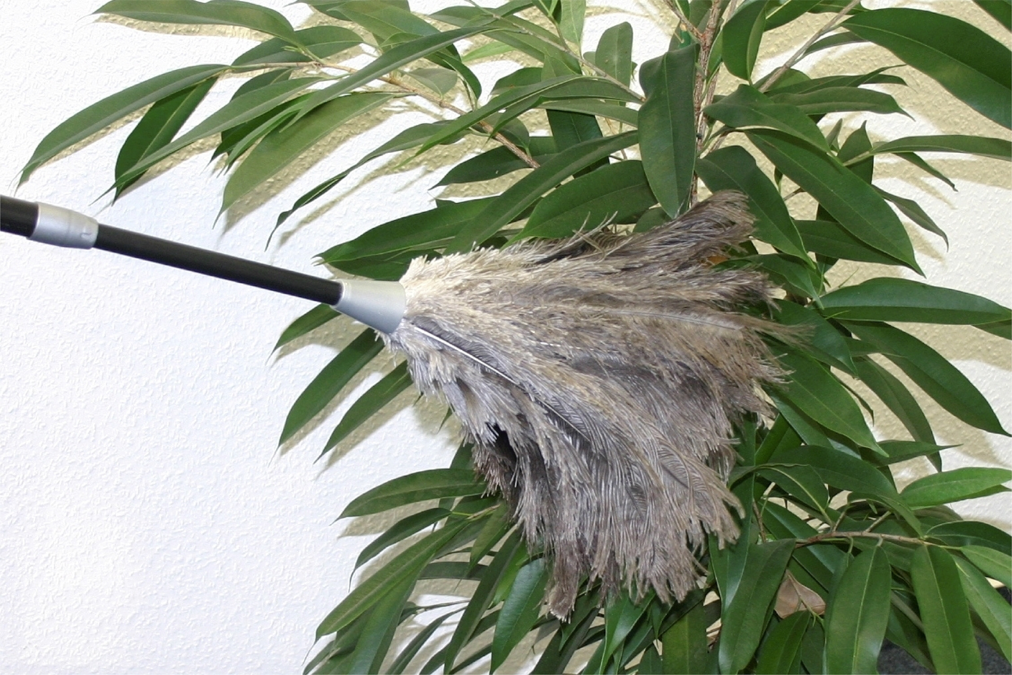 Staubwedel