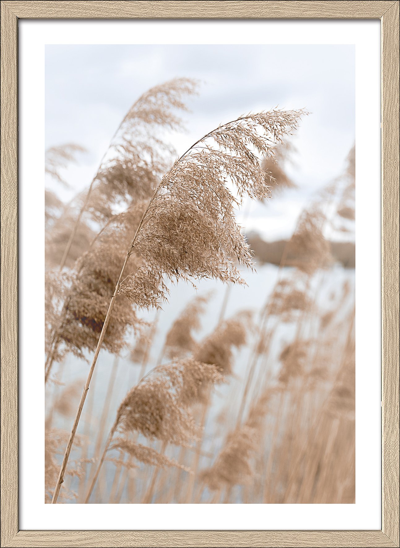 Gerahmtes Bild IN THE BREEZE