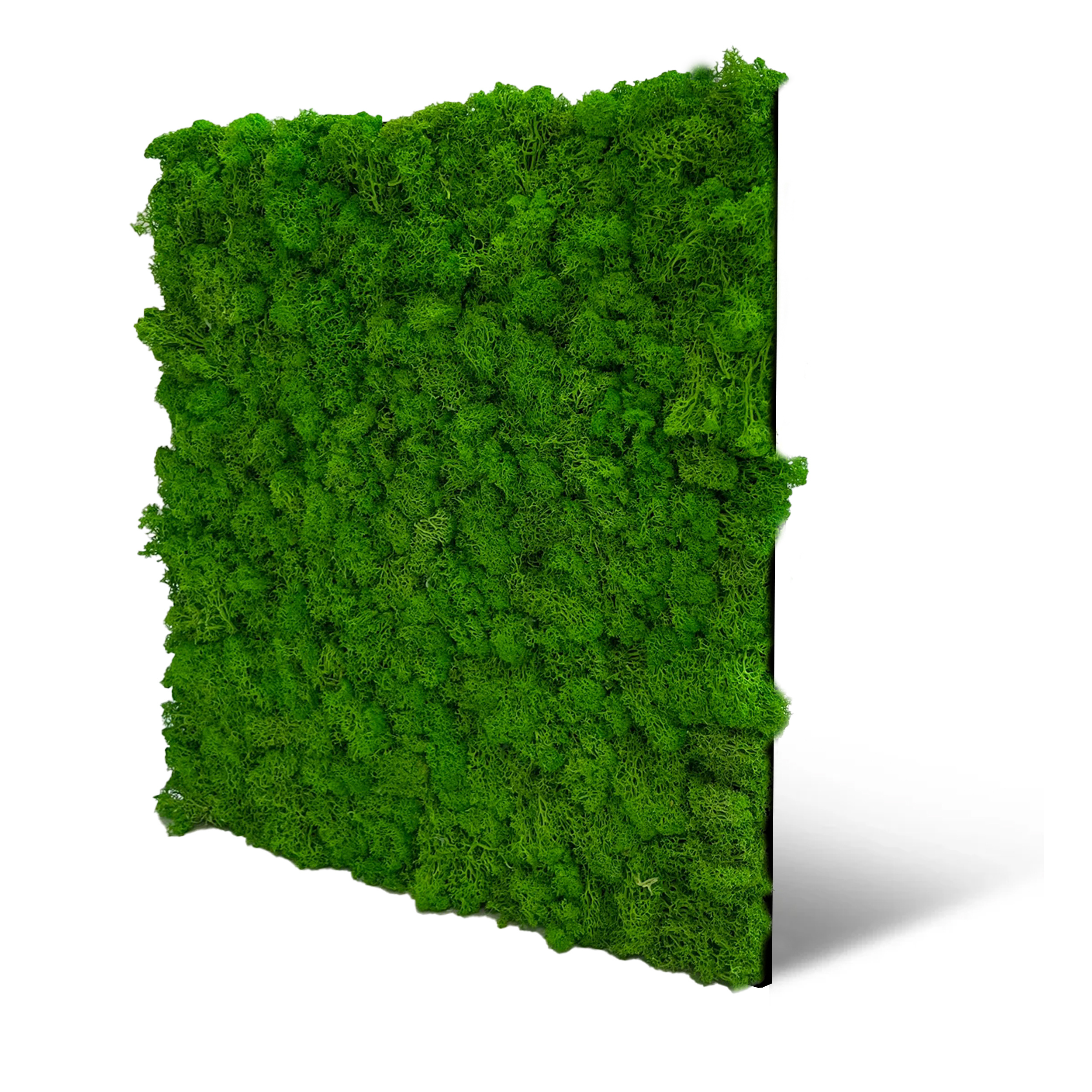 Wandpaneel MODULAR WALL