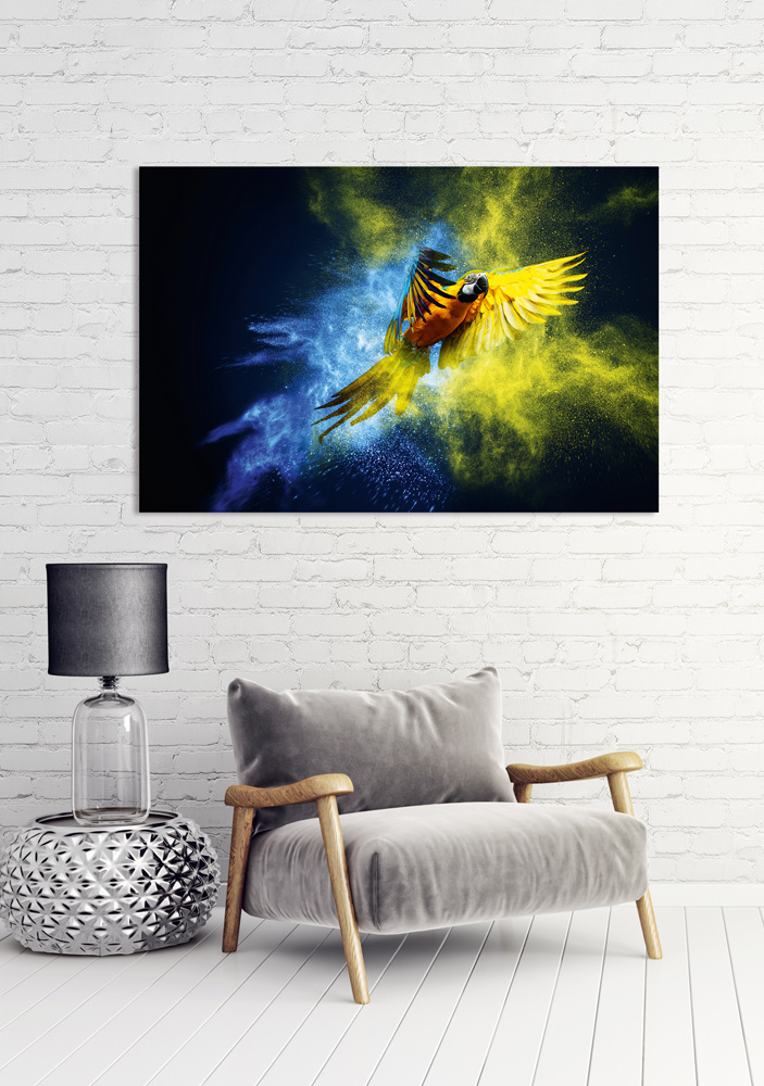 Akustikbild PAPAGEI