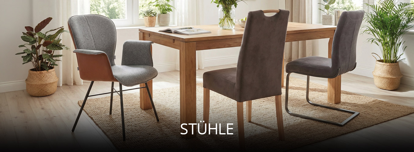 Essbereich mit Massivholztisch und unterschiedlichen Polsterstühlen in modernem Design, ergänzt durch Zimmerpflanzen und helle Wohnaccessoires.