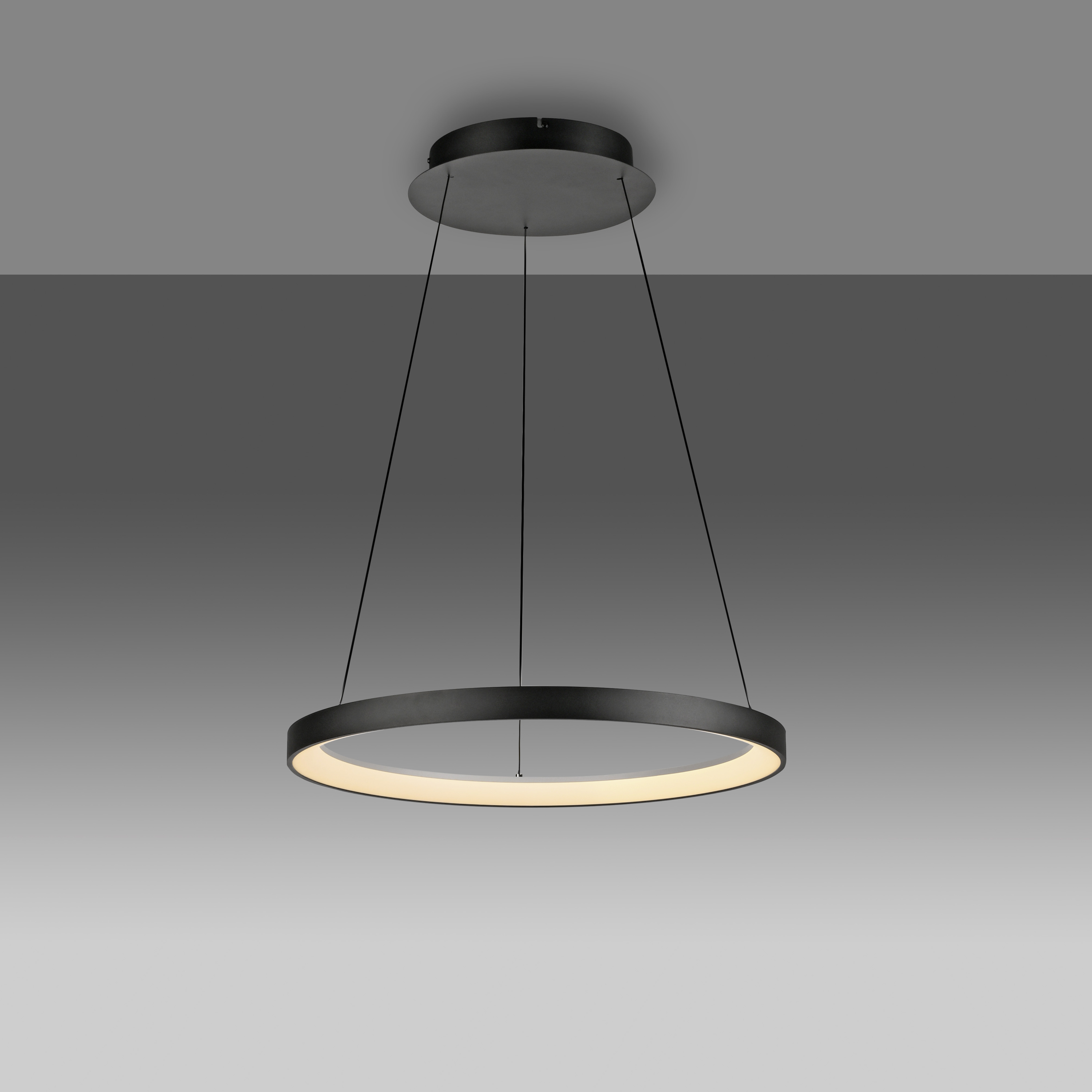 Pendelleuchte HOOP LED