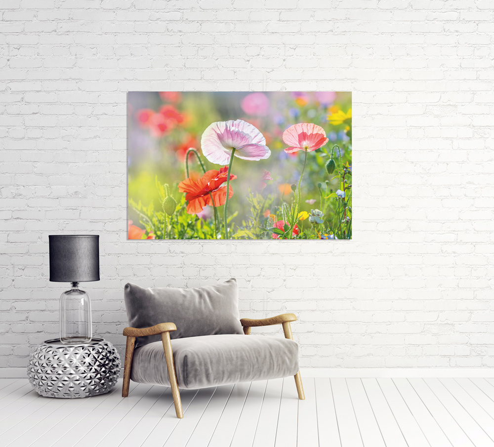 Akustikbild MOHNBLUMEN 4