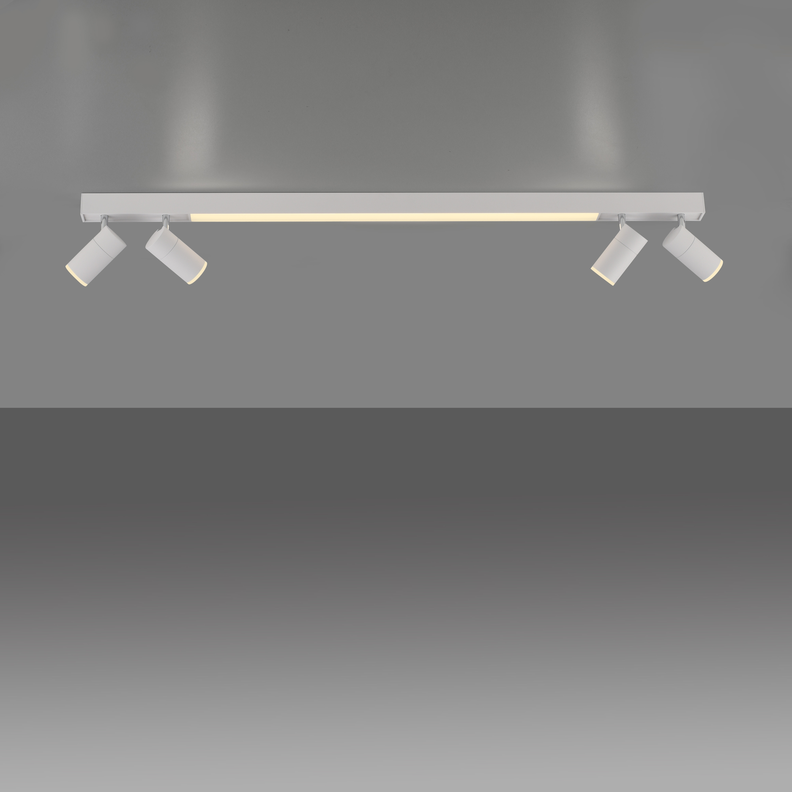 Deckenleuchte PURE LINES SPOT