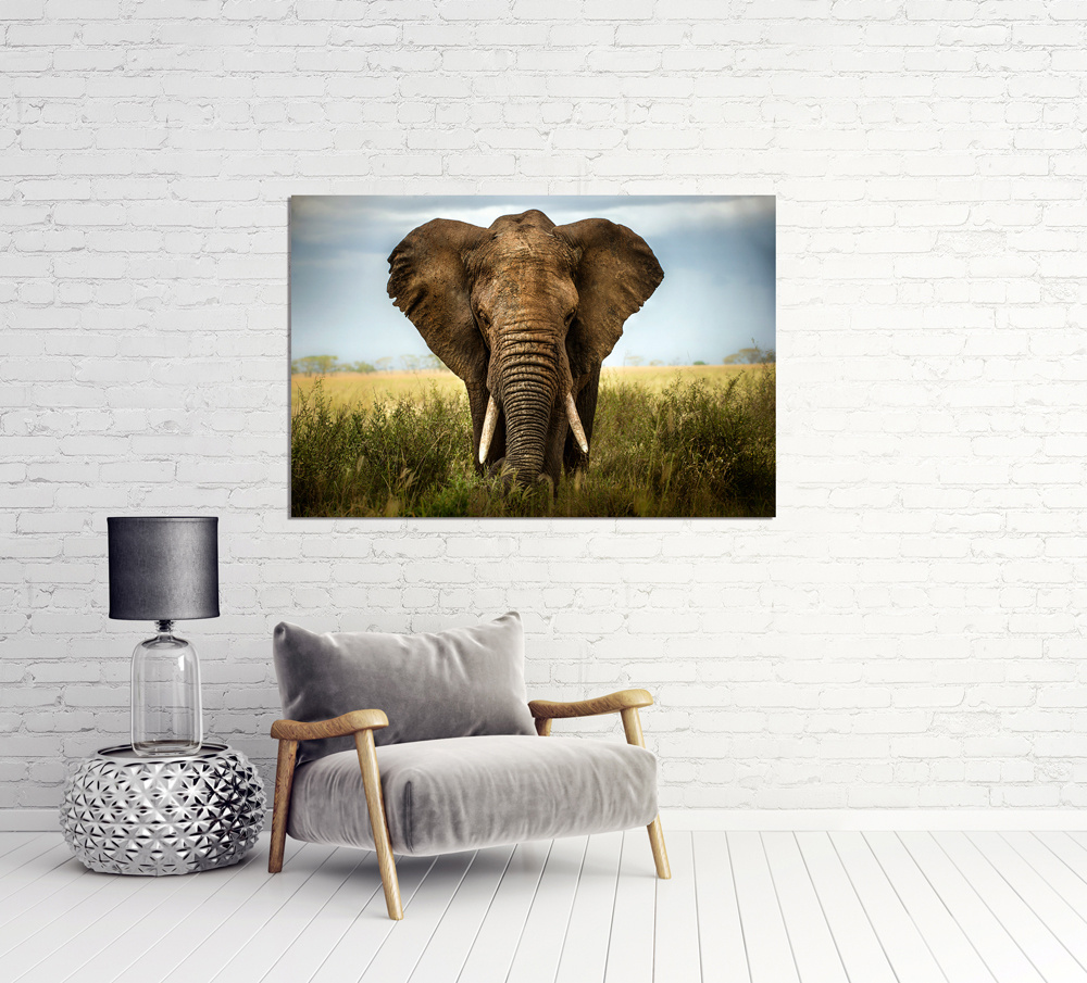 Akustikbild GROßER ELEFANT