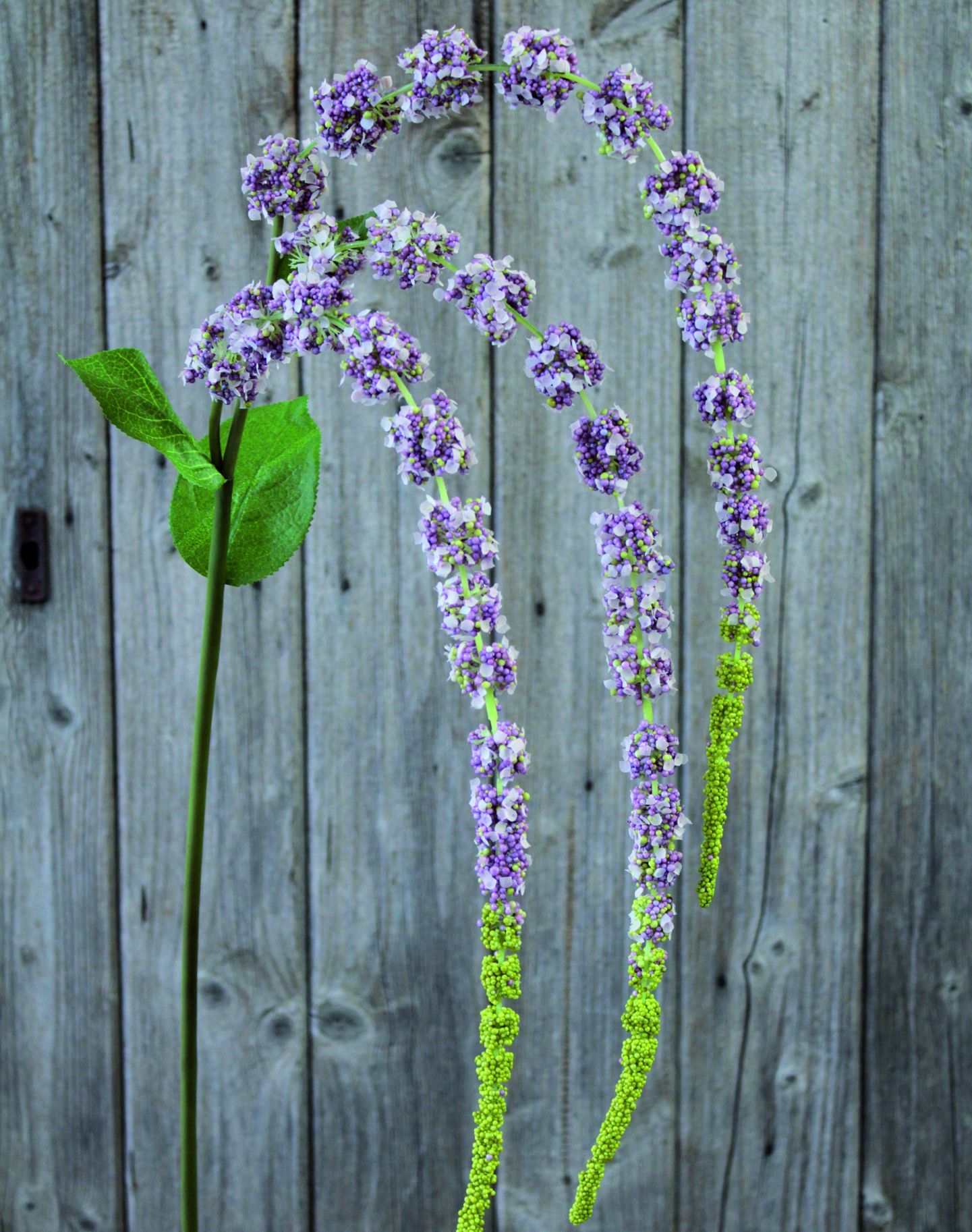 Kunstblume AMARANTHUSZWEIG