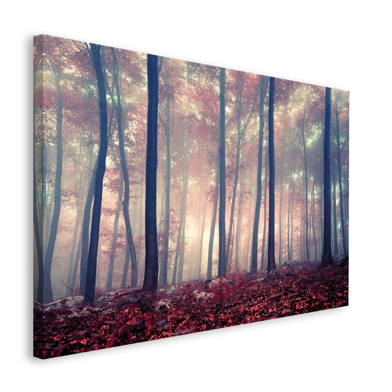 Bild FOREST