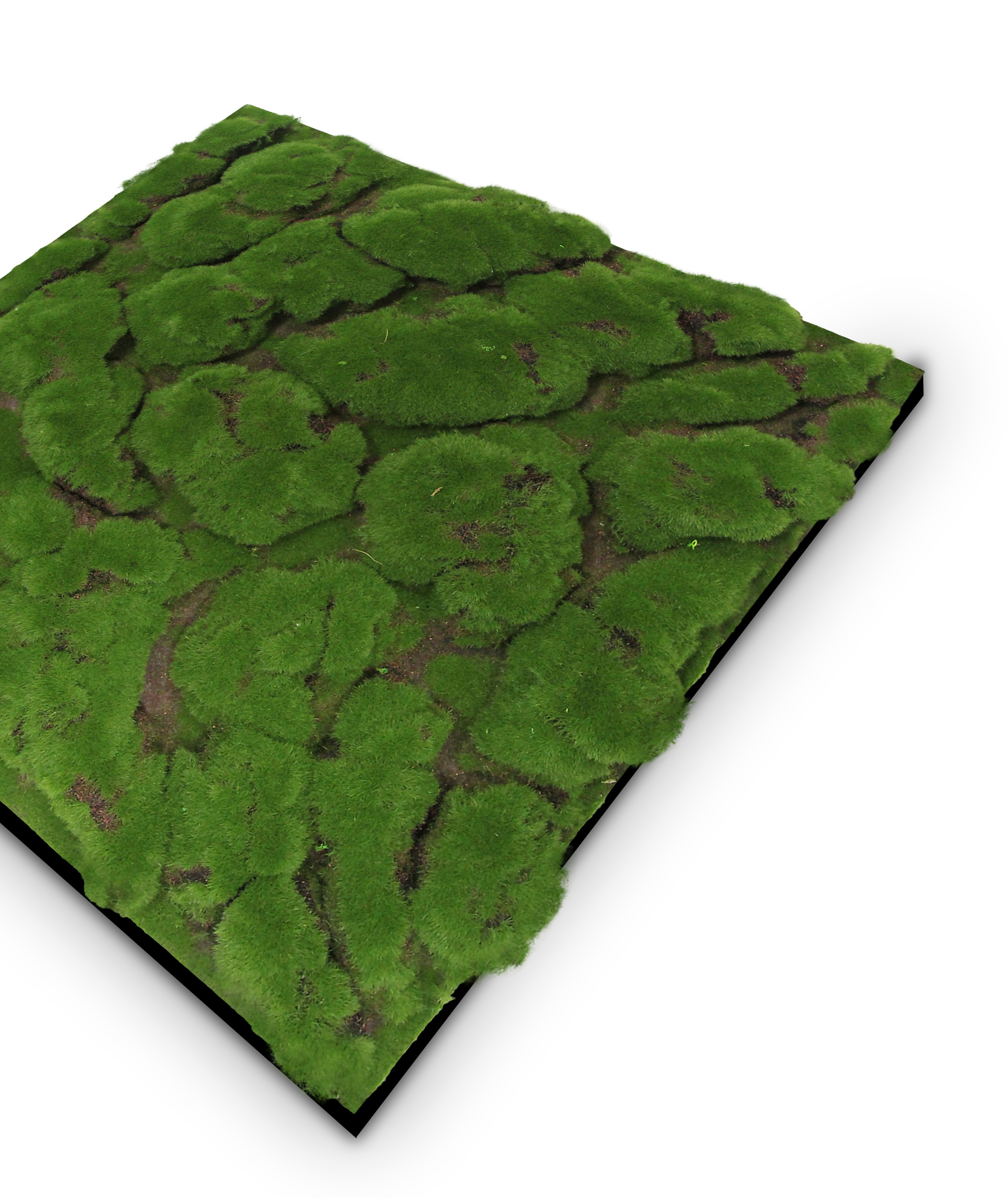 Wandpaneel MODULAR WALL