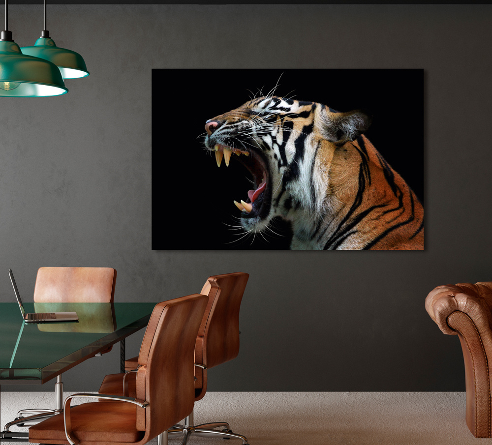 Akustikbild FAUCHENDER TIGER