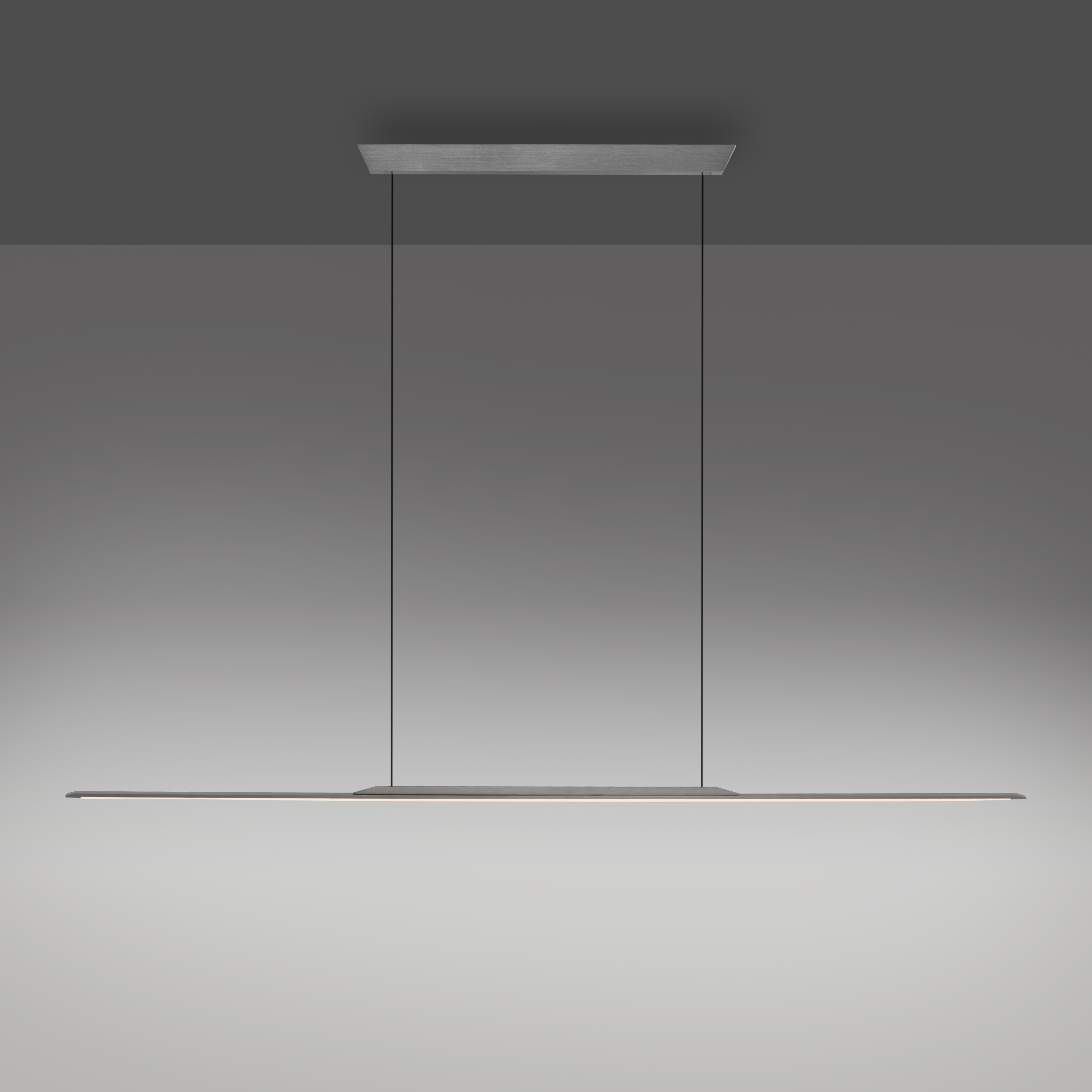 Pendelleuchte PURE SURFACE