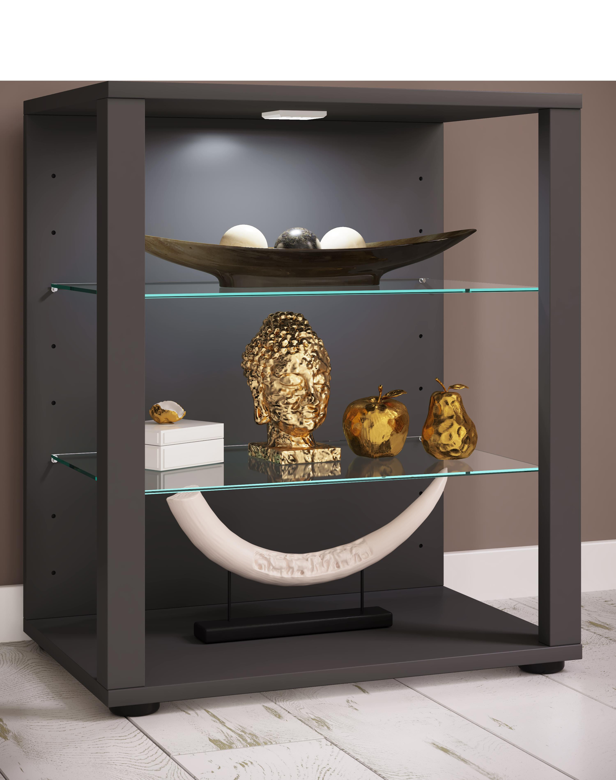 Vitrine GLASOL