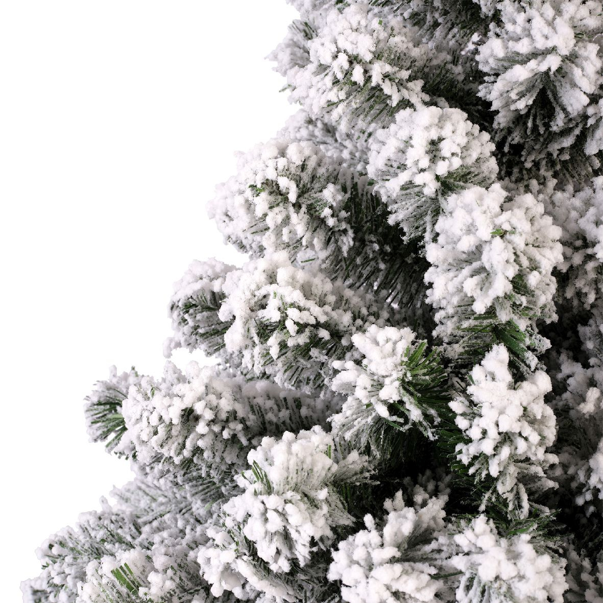 Tannenbaum Imperial