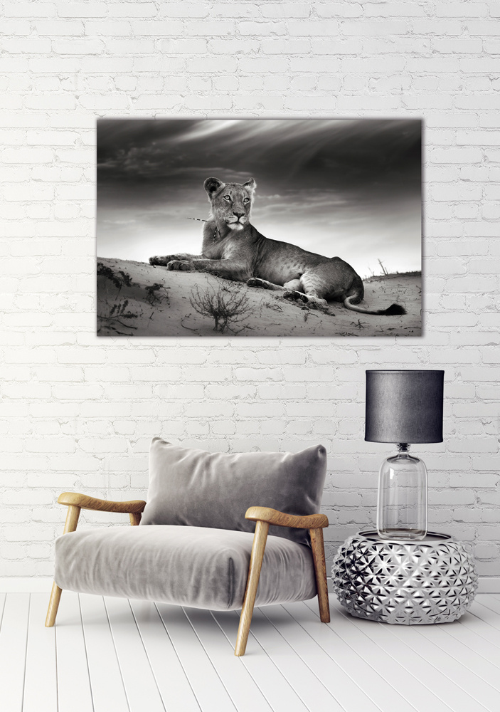 Akustikbild LÖWIN