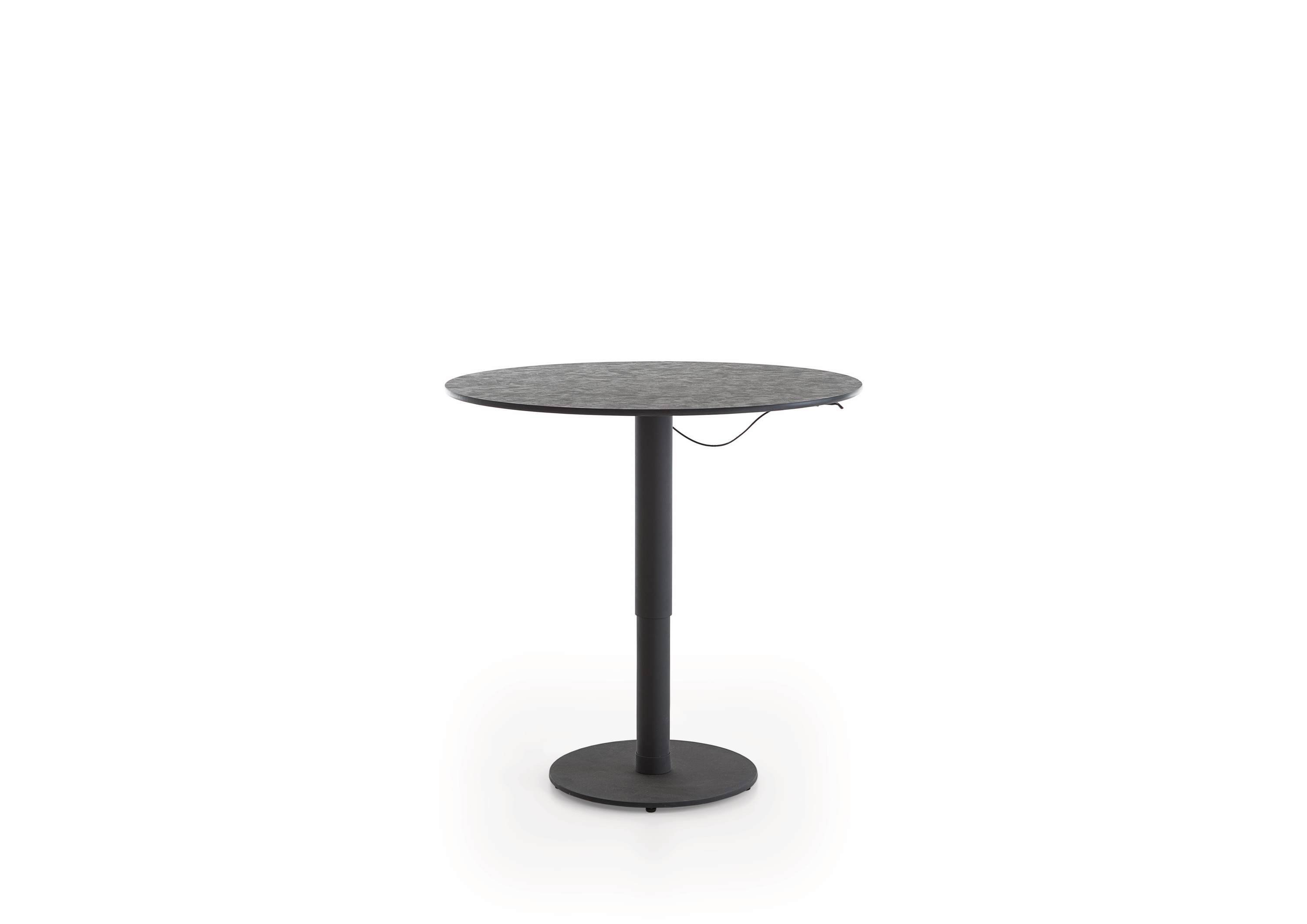 Bartisch BEN