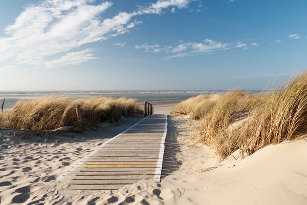 Leinwandbild HOLZWEG ZUM MEER