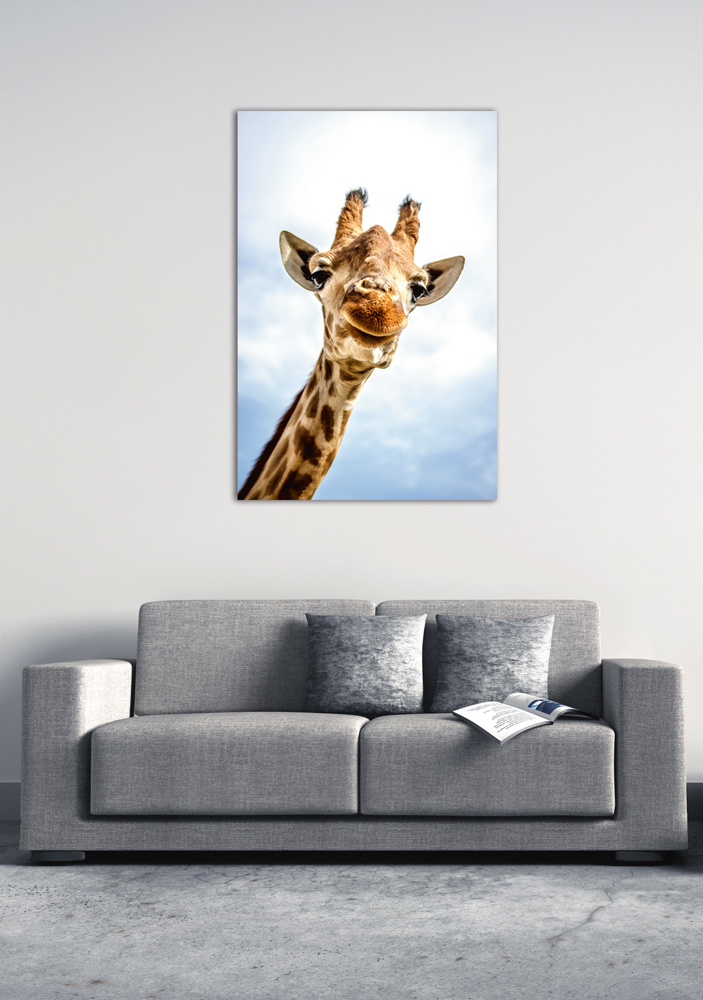 Akustikbild LÄCHELNDE GIRAFFE