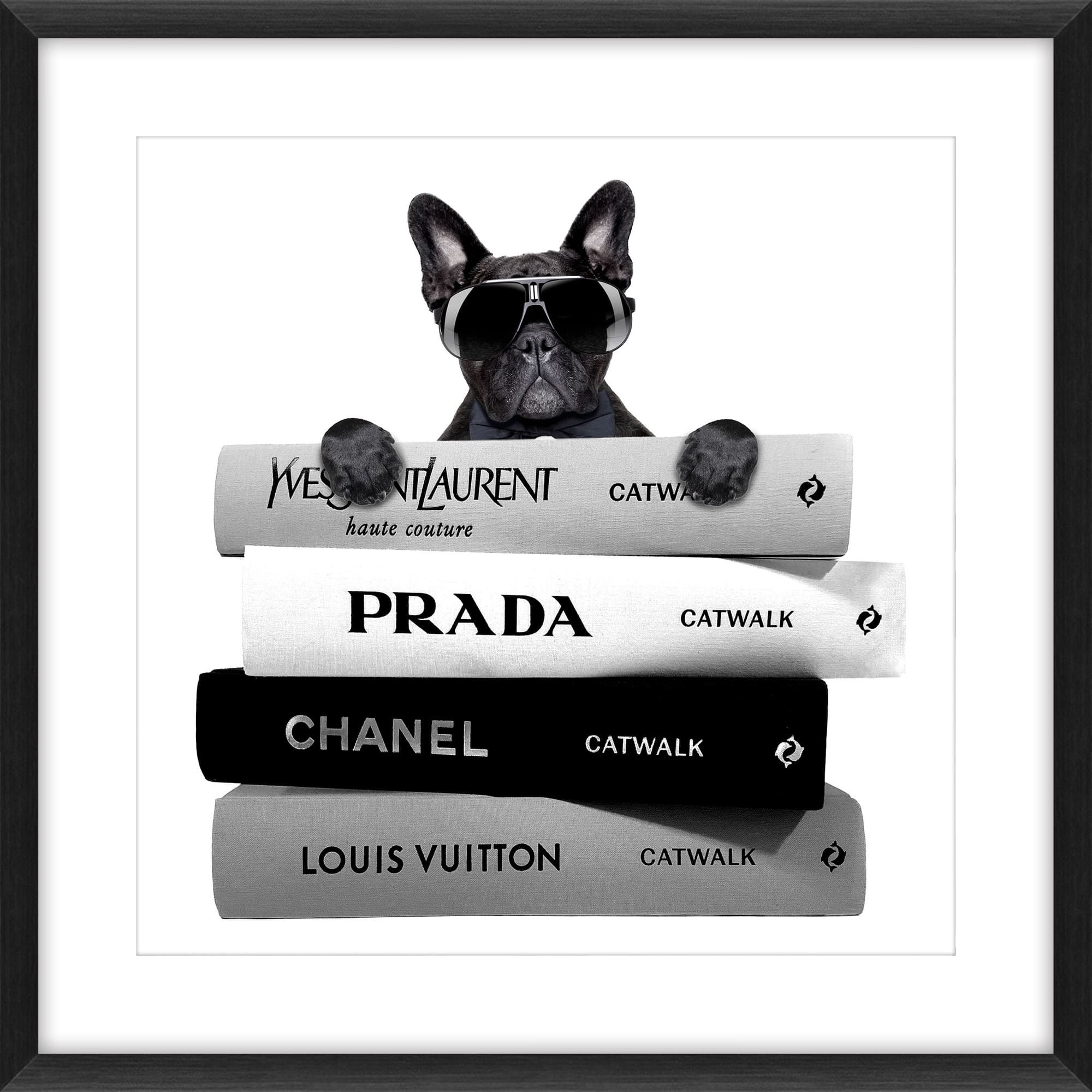 Bild BULLDOG ON BOOKS