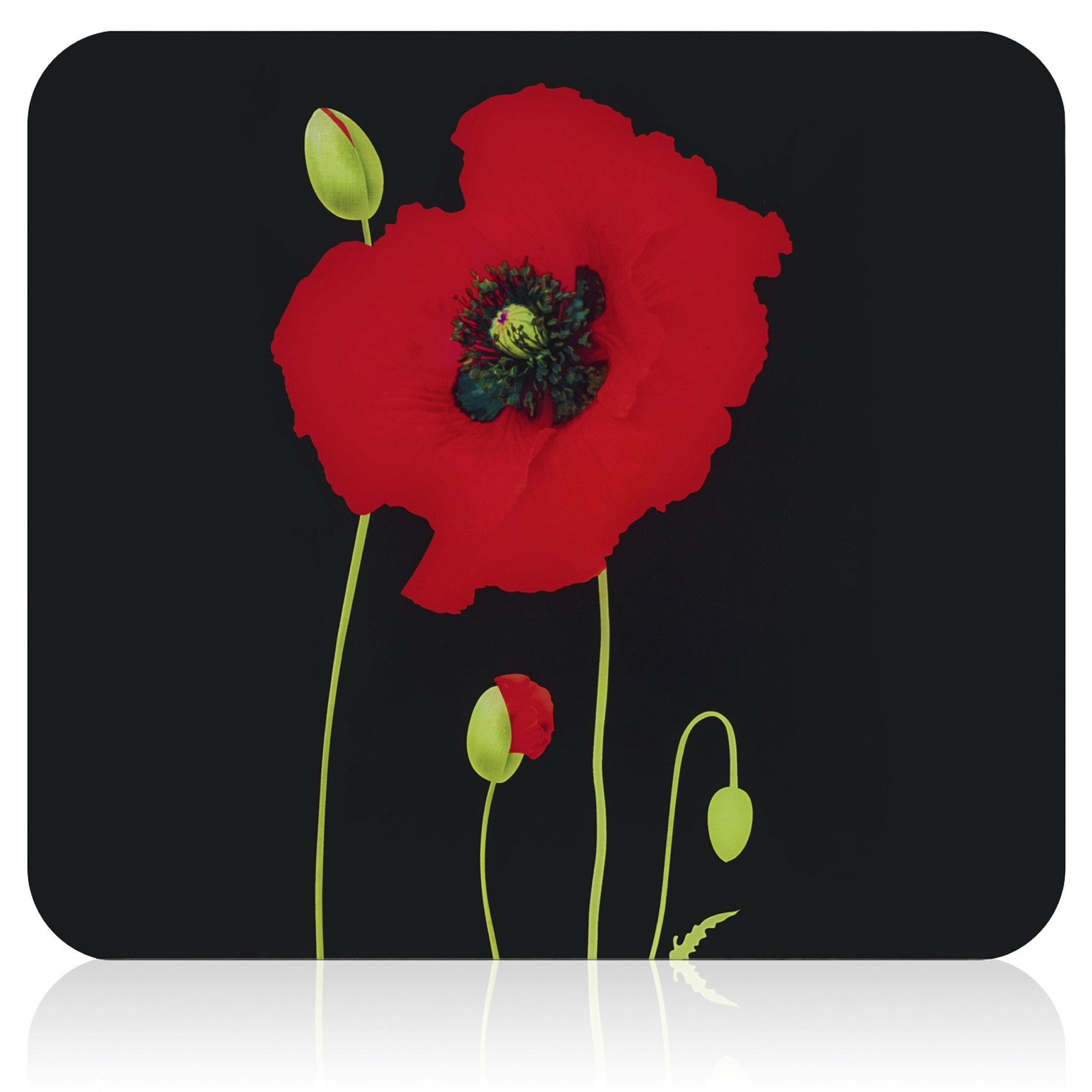 Multi-Platte MOHN