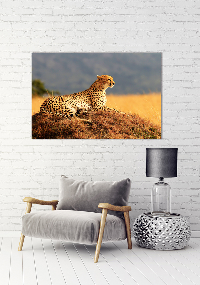 Akustikbild GEPARD