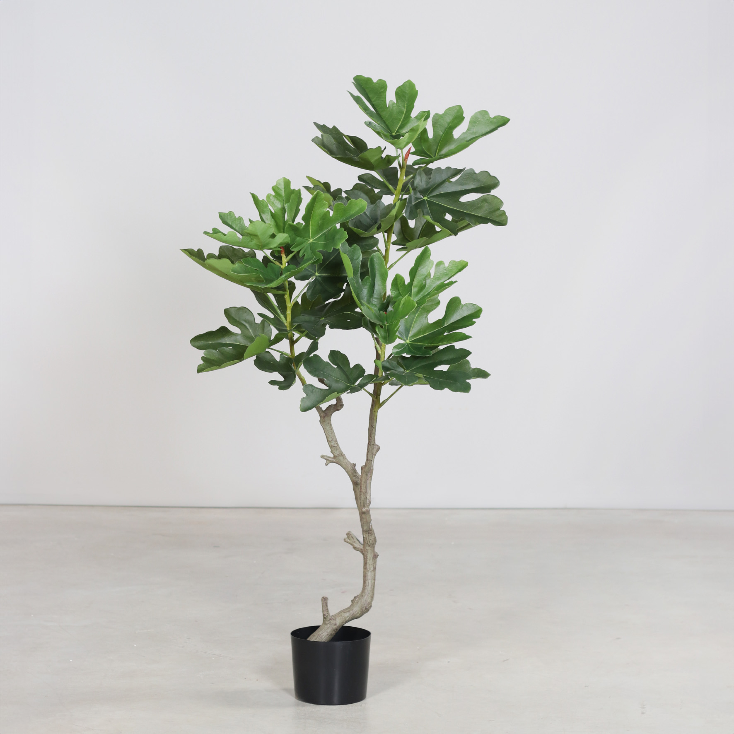 Kunstpflanze Feigenbaum