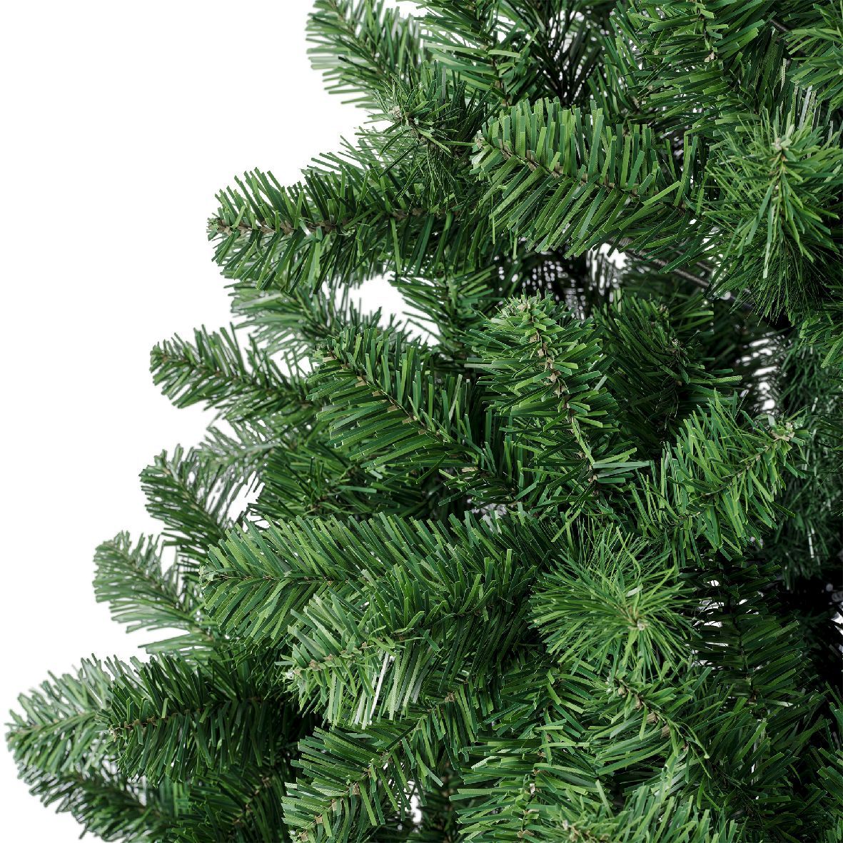 Tannenbaum IMPERIAL