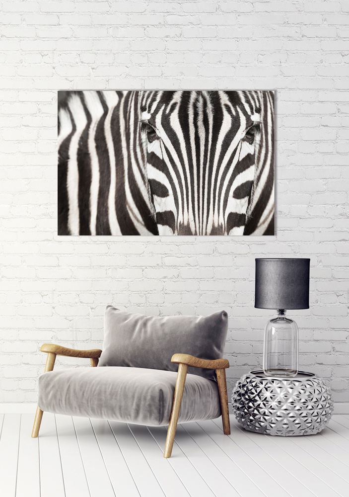 Akustikbild ZEBRA